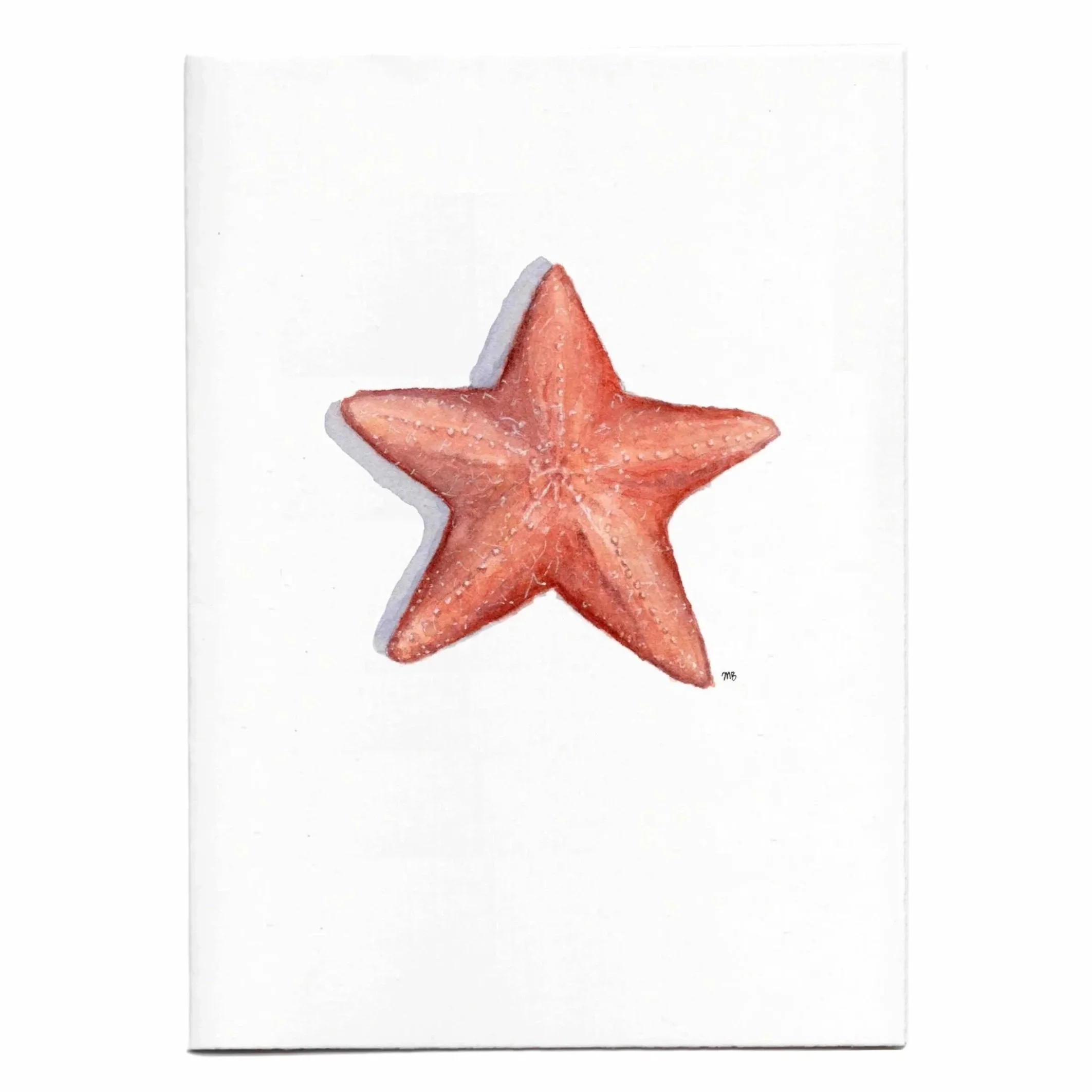 starfish%2Bweb%2Bsize%2B1.jpg