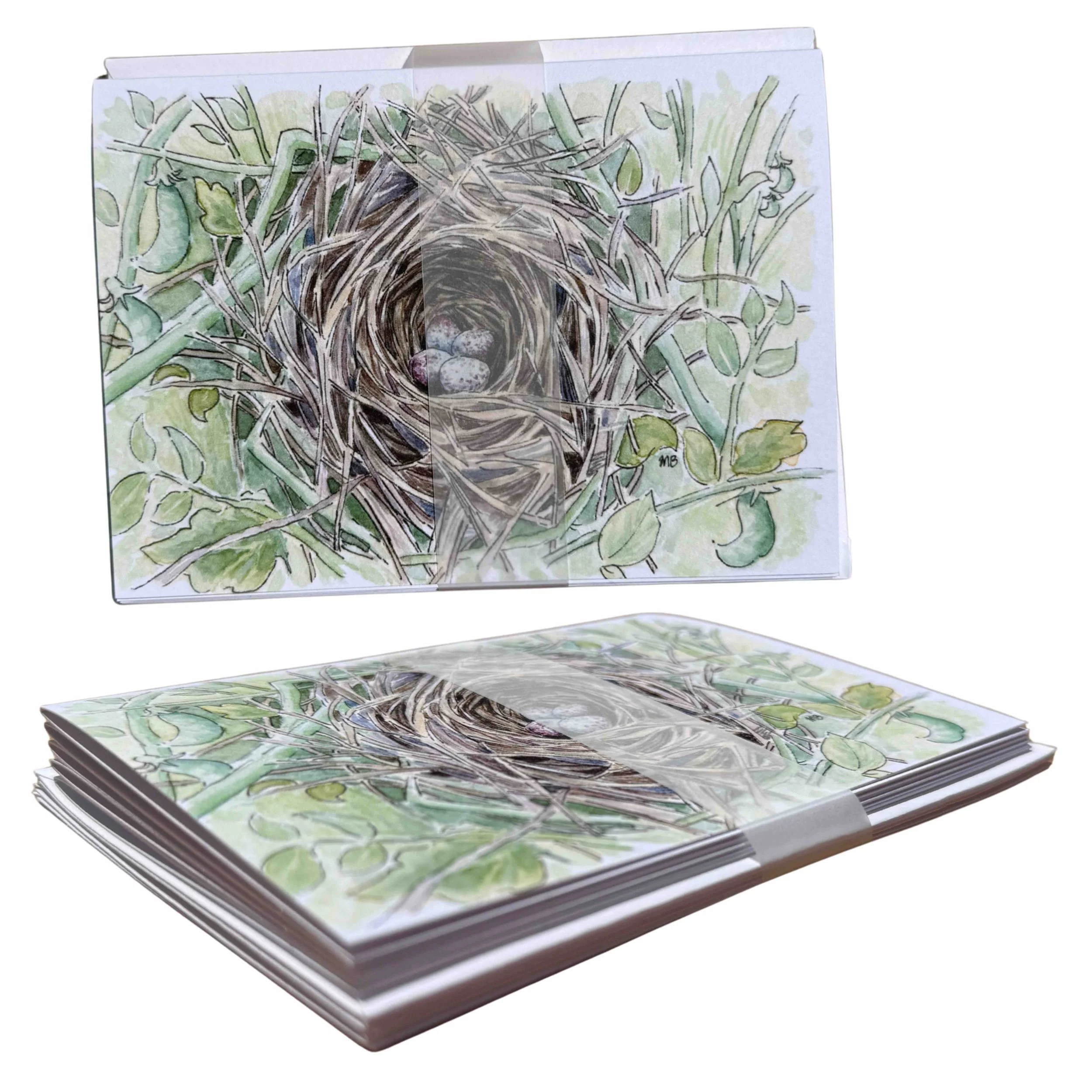 nest 5.jpg