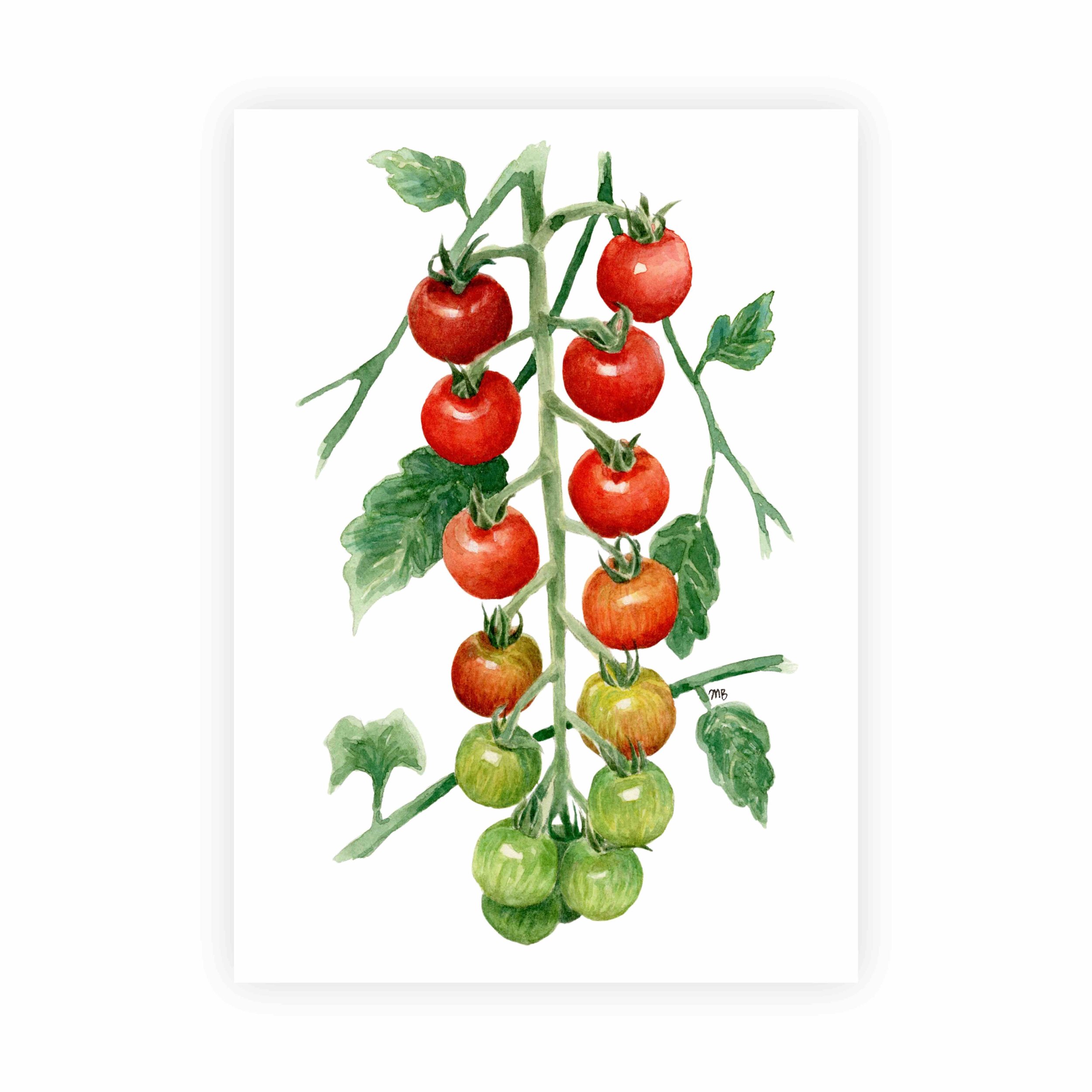 Cherry Tomatoes Watercolor Painting Print | 5x7" Unframed