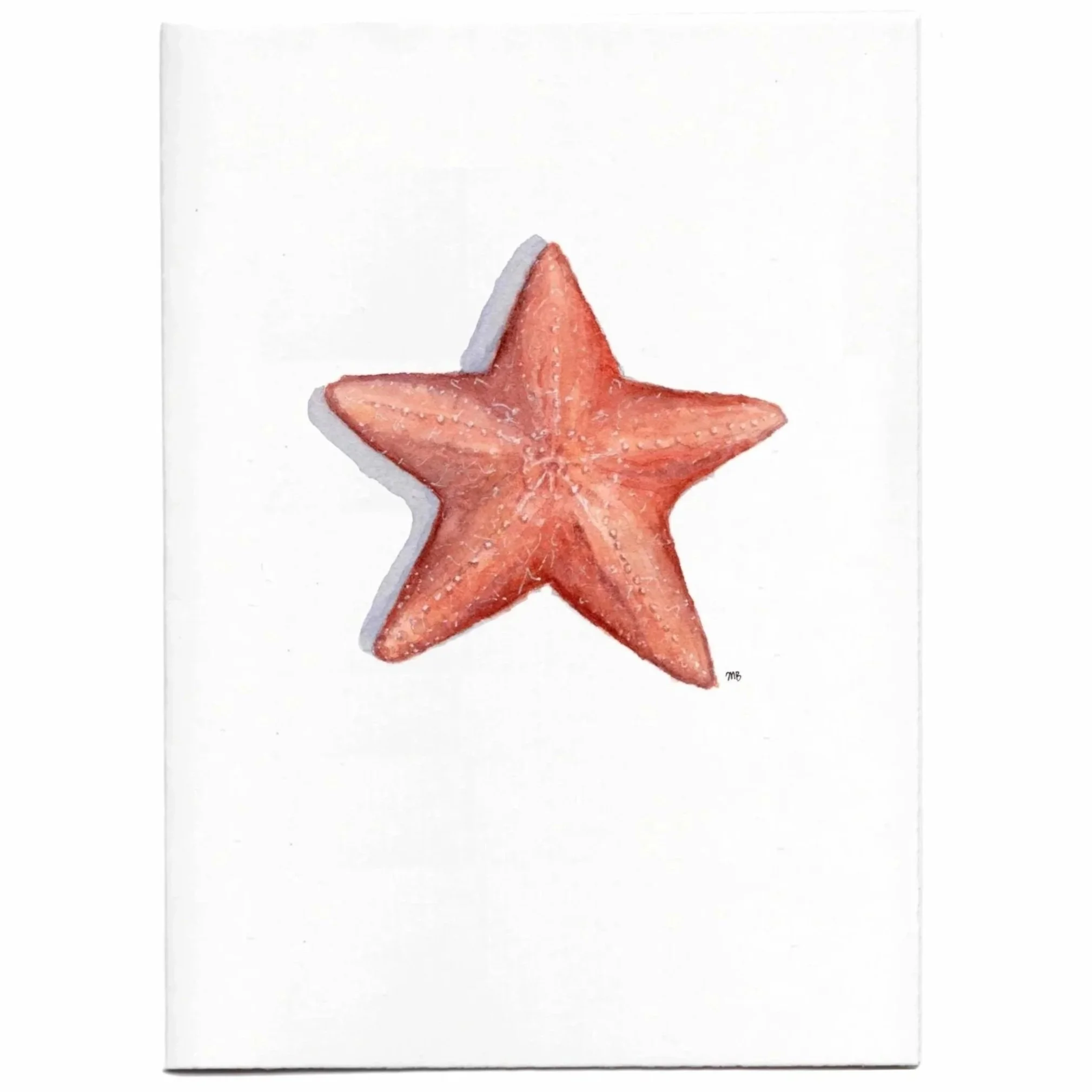 starfish%252Bweb%252Bsize%252B1.jpg