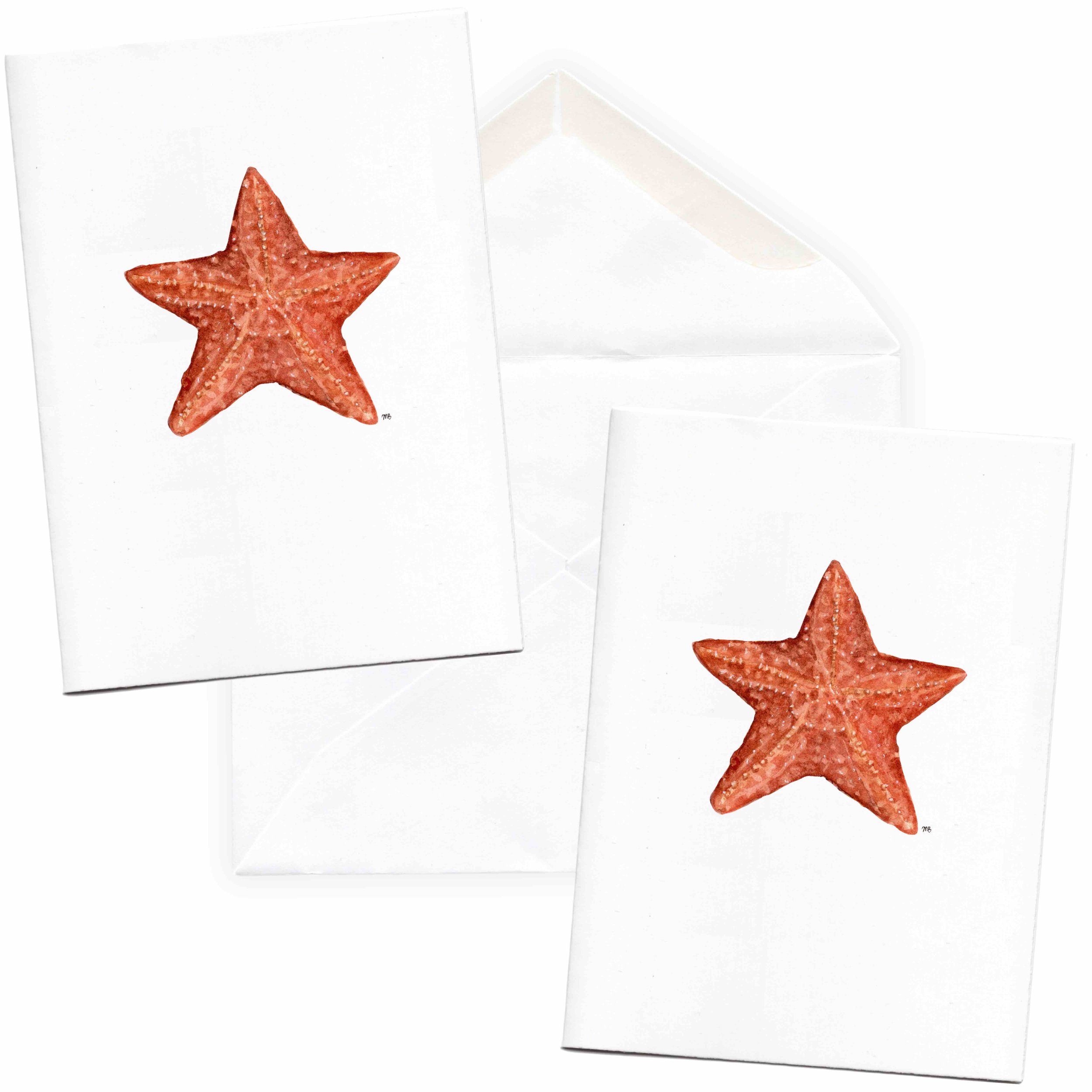 starfish 2 website image 3.jpg