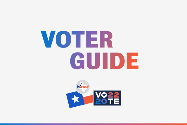 The only election guide you’ll ever need