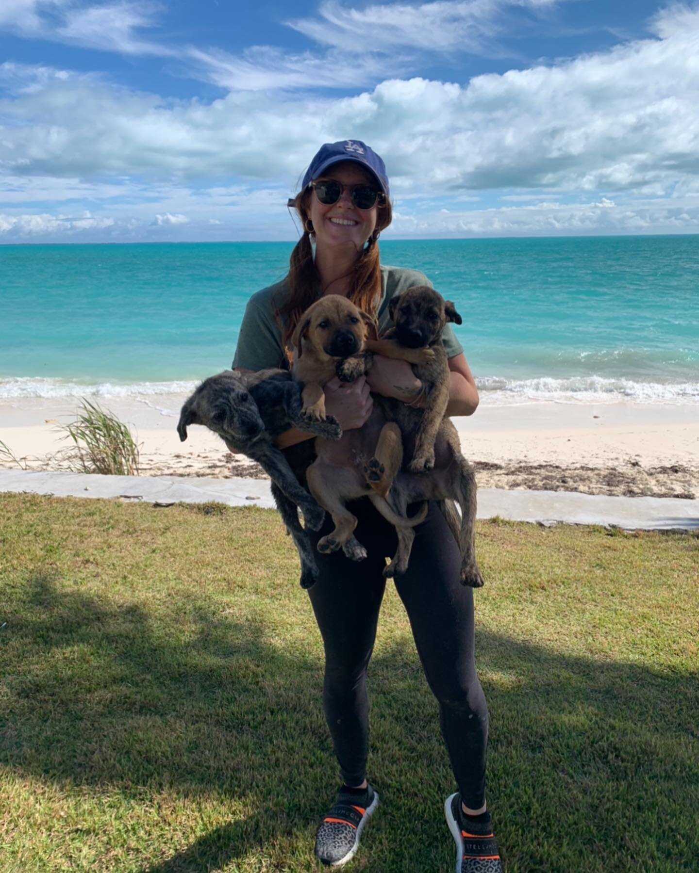 💫🇧🇸🐾 Yappy Independence Day to you, Bahamas! 💫🇧🇸🐾
 
We are grateful to have met and had the helping paws of so many who love your country and want to give back to the community as much as you give to all of us. 
.
.
.
.
#bahamas #bahamianinde