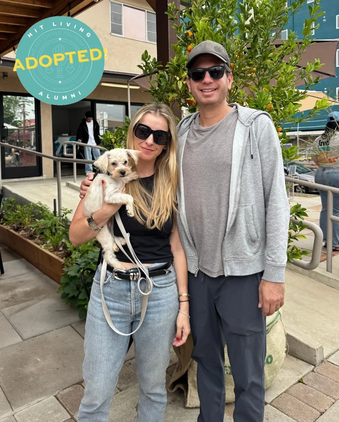 Noah Wyle is a foster fail! 🎉

We rescued Noah after he was found as a stray and ended up at South LA shelter where he spent almost a week by himself 💔 We named him after Noah Wyle, who just won an award for The Pit, a story about resilience and su