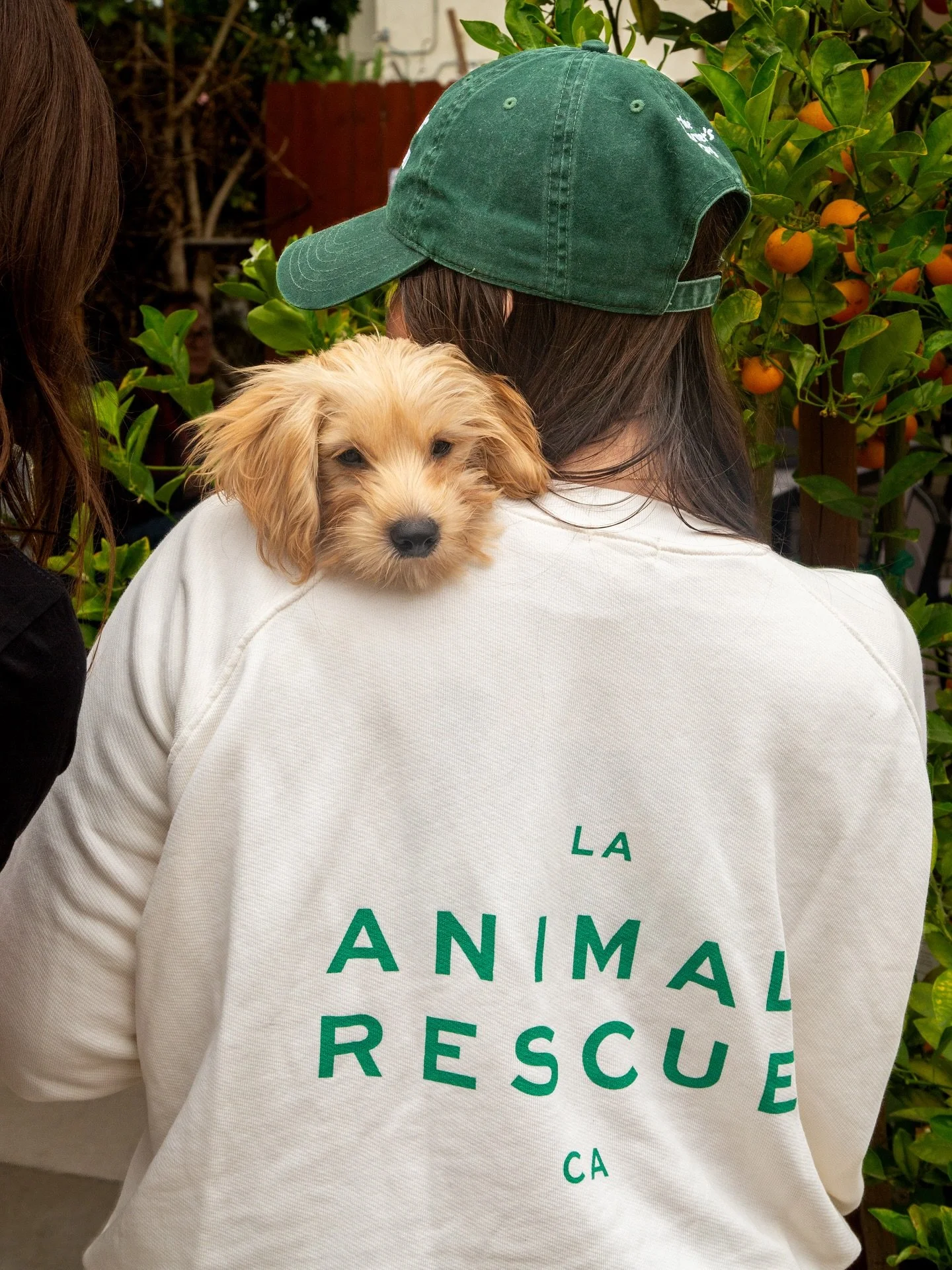 Our first Pawfee event reminded us why this community is so special 🐾✨

Alumni pups from nearly a decade ago to present day reunited with their siblings, fosters and adopters, came together to sip coffee, share stories, and celebrate rescue. Our par