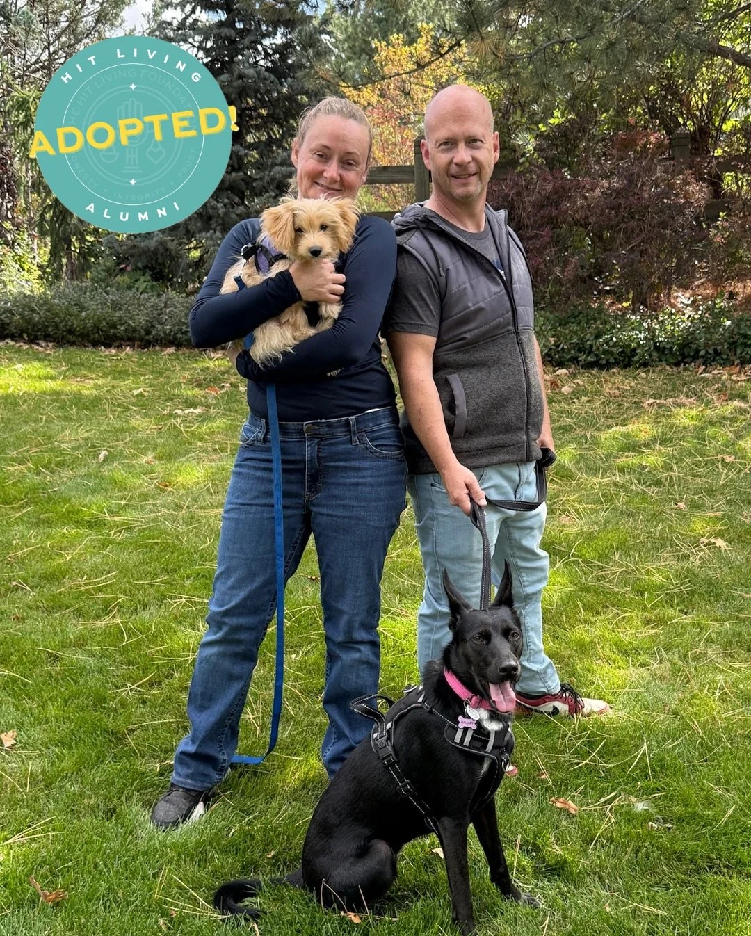 Toast is adopted! 🍞🎉

A few weeks ago, this sweet little pup showed up right on the doorstep of one of our fosters, covered in fleas and ticks, uncomfortable, and clearly in need of help 💔

Let&rsquo;s just say&hellip; Toast broke the internet. Wi