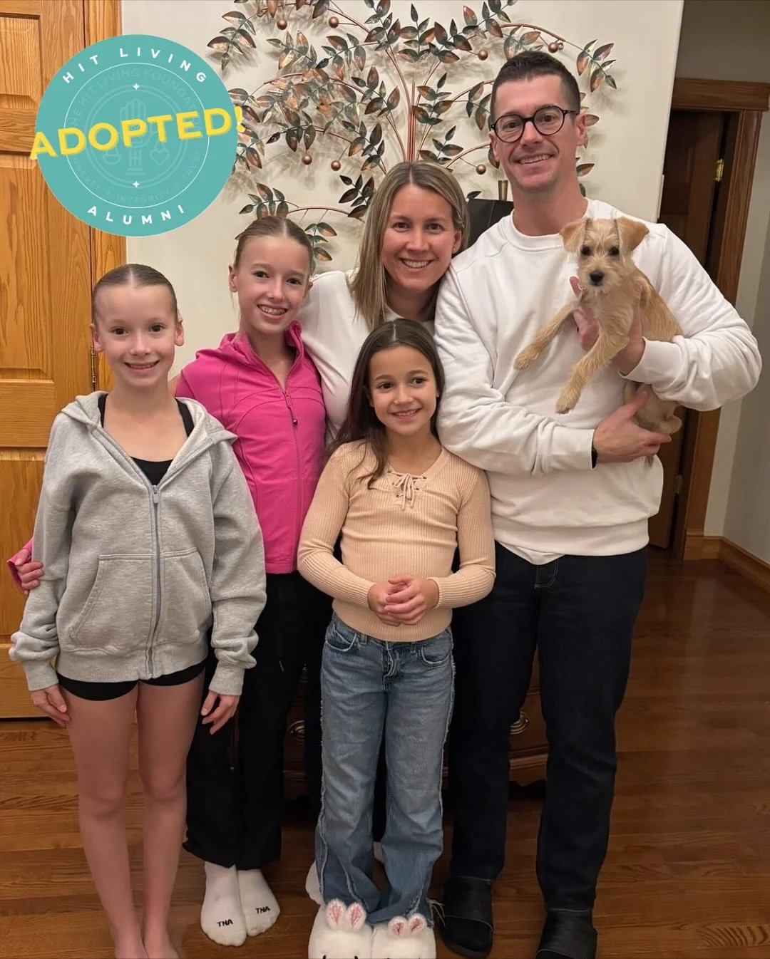 Joey, now Juno, has found her furever family! π 
She has been the sweetest addition to her new family, and has done great with the fosters young girls and the family dogs they have introduced her to. She loves running and playing with the girls and