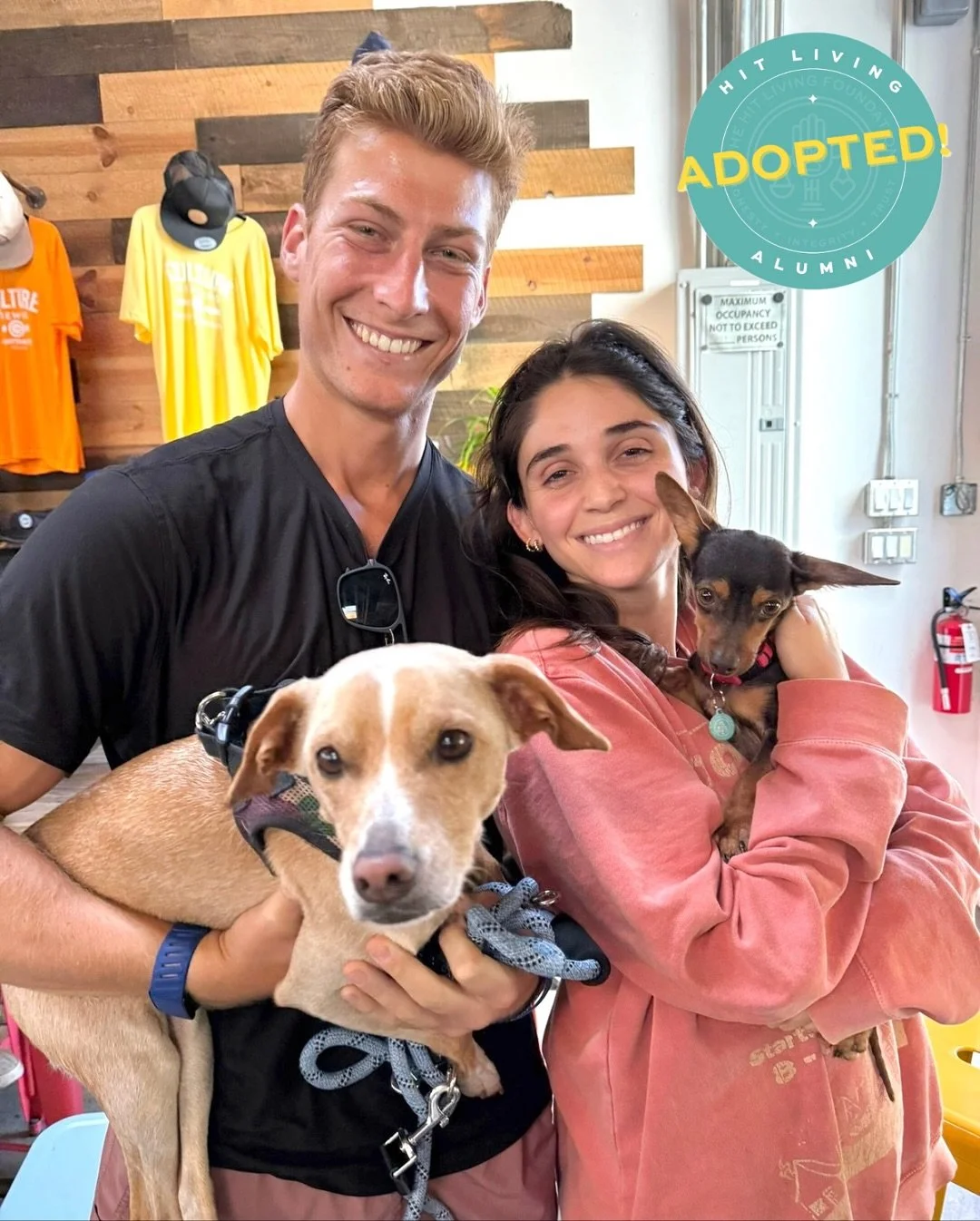 The first of our Land Rover pups has found his furever home and it&rsquo;s a foster fail! 🎉

We rescued Trek along with his siblings, Defender and Rover, from a South LA shelter after they were brought in as strays. Being so young and fragile, they 