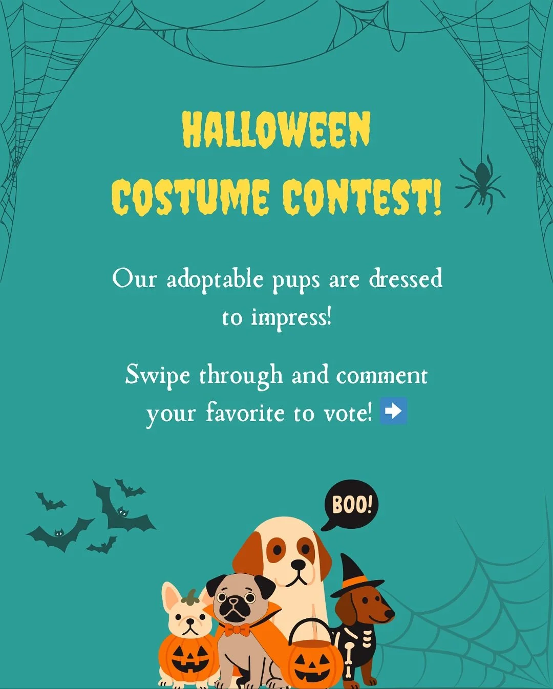 It’s officially Halloween, and our adoptable and fospice pups are here to steal the show! 👻 
From buzzing bees to scary witches and everything in between, these cuties dressed up to impress and are ready to win your hearts (and your vote