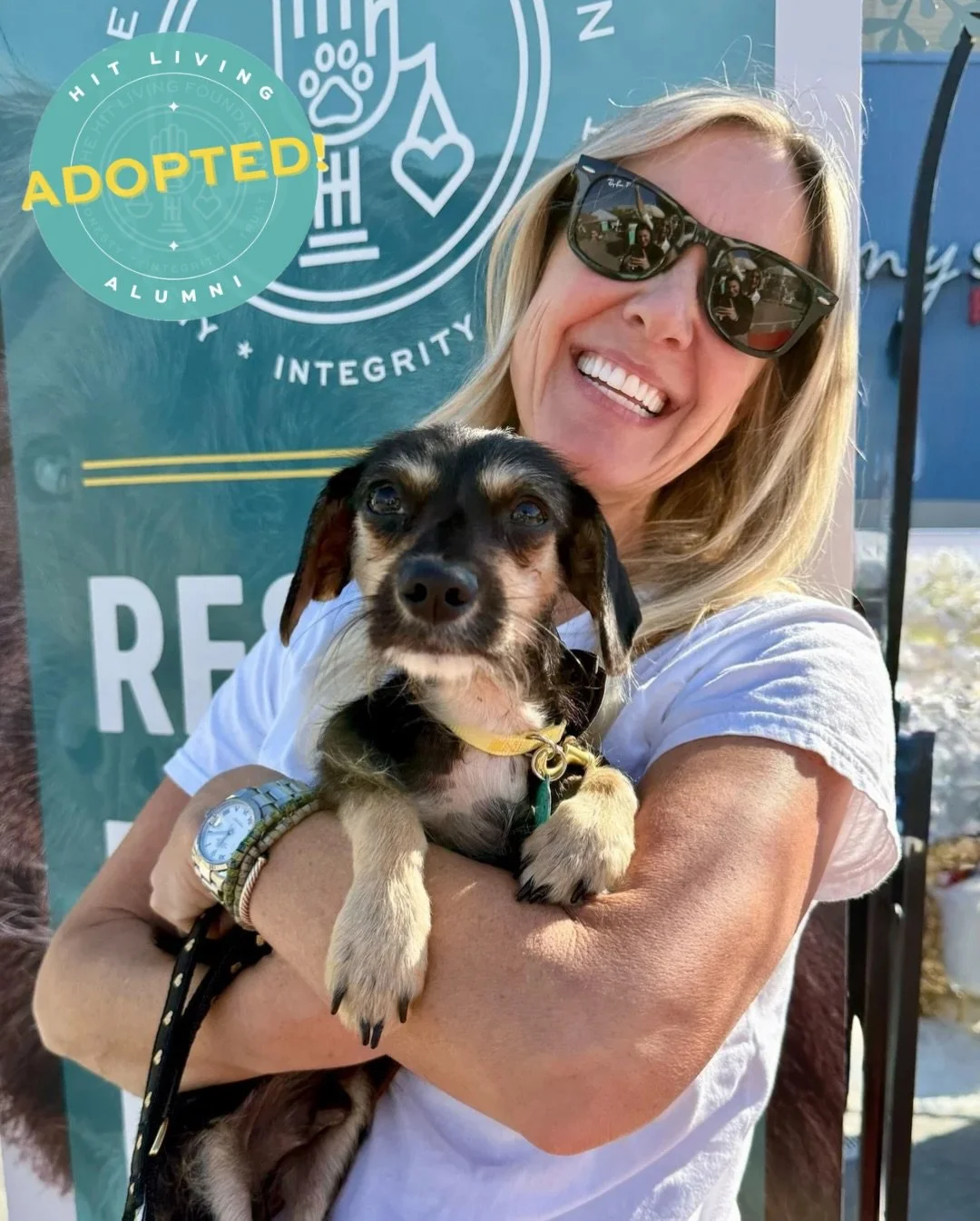 Rover is adopted! 🎉

We rescued Rover along with his siblings, Trek and Defender, from South LA shelter after they were brought in as strays. Being so young and fragile, they didn&rsquo;t have much of a chance without a quick lifeline.

Rover, now N