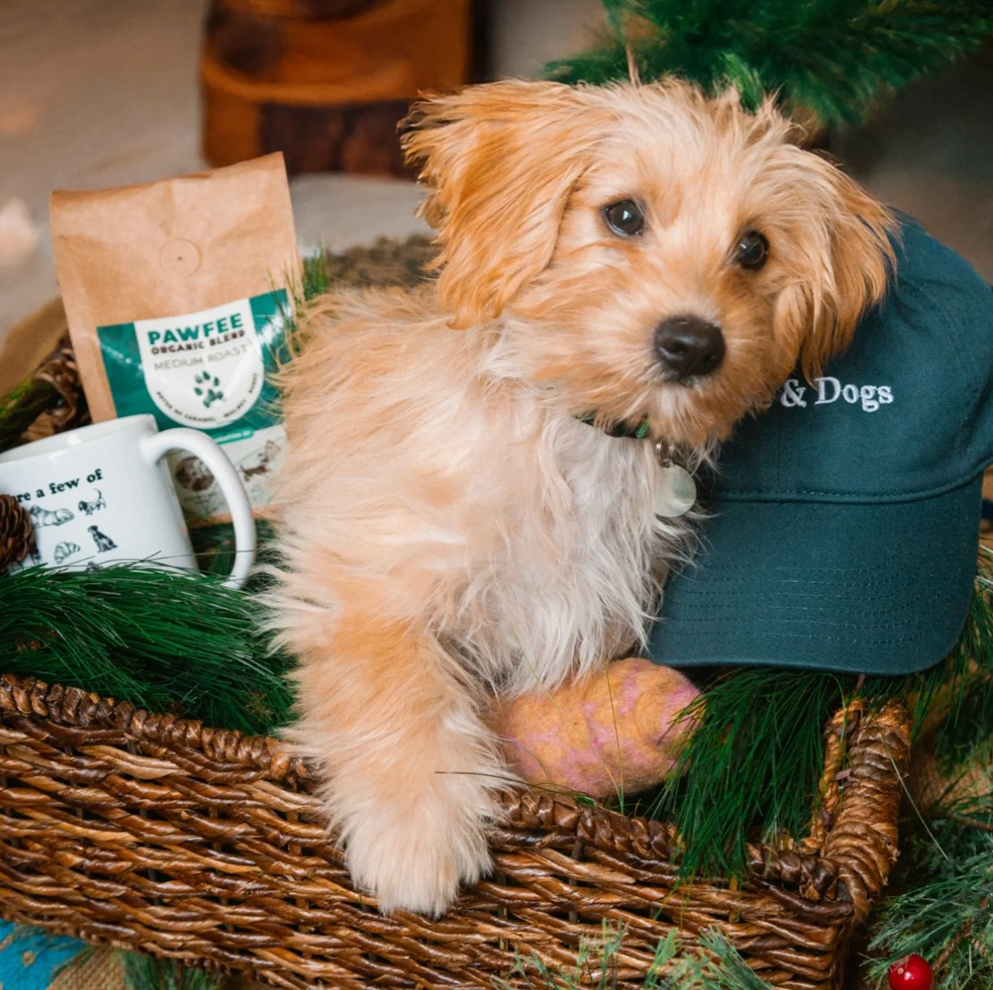 ☕️🐾🎁 There is still time to get your pawliday orders in for our coffee &amp; dog lovers &lsquo;A Few of Our Favorite Things&rsquo;  Holiday Bundle and/or our co-branded 100% organic &lsquo;Pawfee&rsquo; Coffee roasted by Los Angeles roaster @unboun
