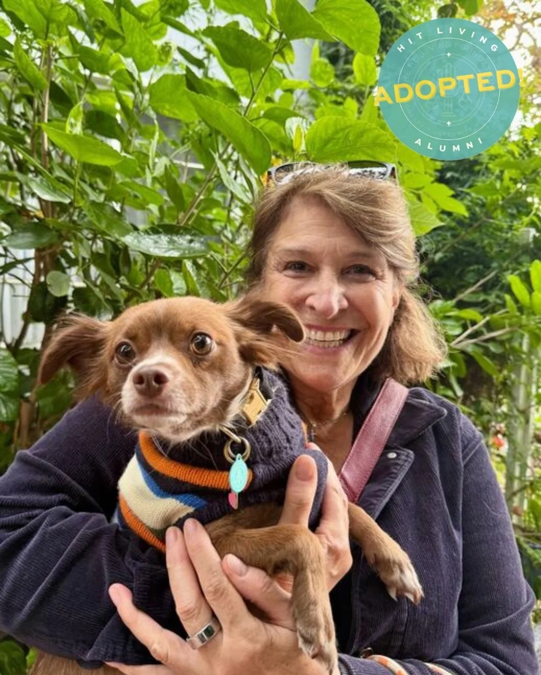 Autumn has found her furever home! 🎉

We rescued mama Autumn and her three pups after thy were brought to the shelter as trays, though we have a feeling their story hold much more than that. What we do know is that this little family has shown nothi