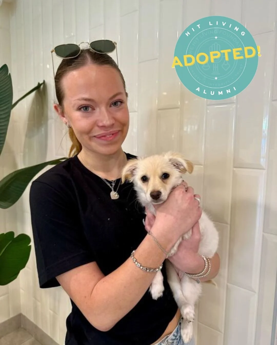 Butternut has found her furever! 🎉

We rescued Butternut, her mama Autumn, and her two sisters after they were brought to the shelter as strays, though we have a feeling their story holds much more than that. What we do know is that this little fami