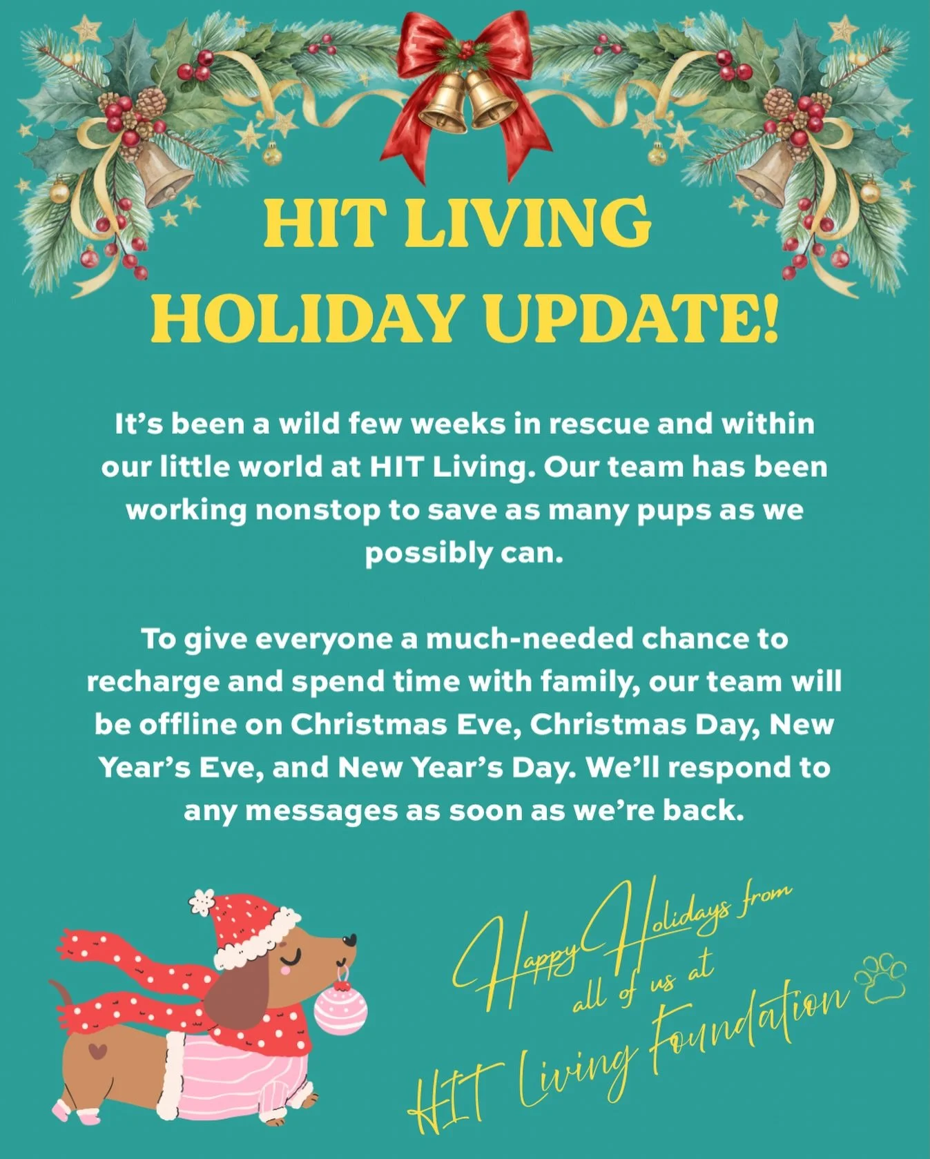 If you&rsquo;ve been following along, you know it&rsquo;s been a wild few weeks in rescue and within our little world at HIT Living. Our team has been working nonstop to save as many dogs and puppies as we possibly can.

With that said, to give every