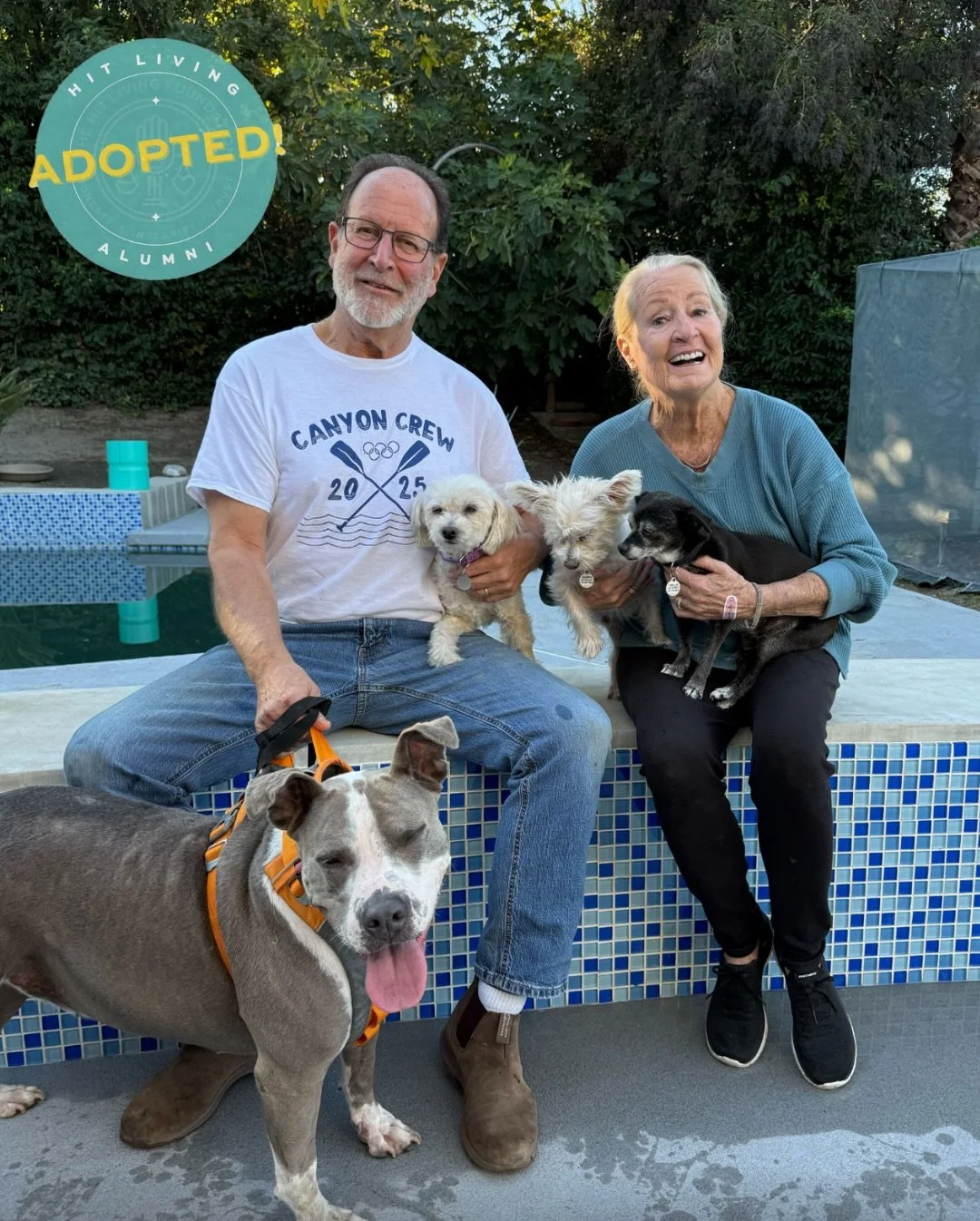It&rsquo;s a foster fail! 🎉

Bella came to us after being passed between situations and rescues that couldn&rsquo;t keep up with her medical needs. Along the way, Polly found her, and the two quickly became inseparable. When their caretaker could no