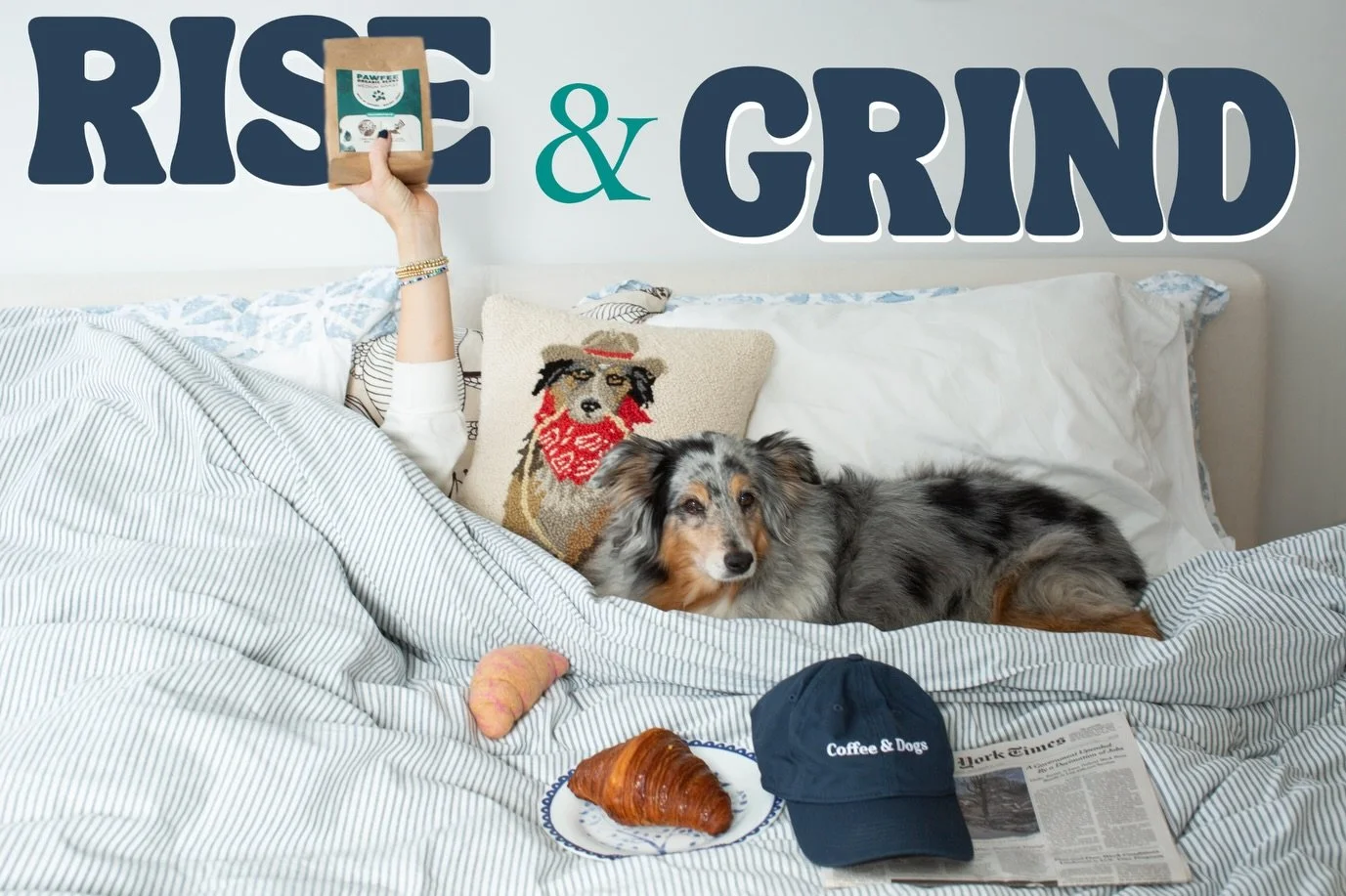 ⏰ We may have lost an hour of sleep&hellip; but the dogs didn&rsquo;t get the memo.

They still woke up at the same time.
They still needed breakfast.
They still needed their morning walk.

Which means today we need coffee more than ever.
Good thing 