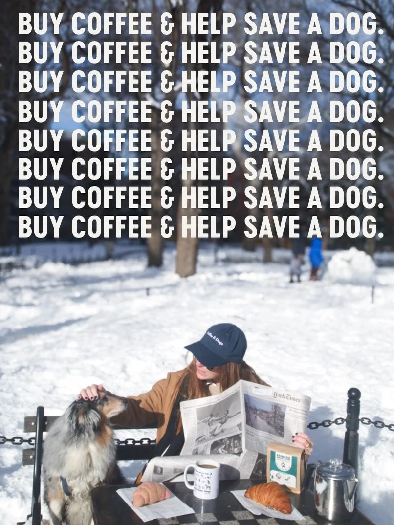 Pawfee Coffee Daylight Savings Sale ✨ eXtENdeD ✨

20% off Pawffee Coffee Bags 
10% off Pawfee Bundles (Coffee &amp; Dogs dad cap @cleoandhooman, &ldquo;These are a Few of My Favorite Things&rdquo; coffee mug @hitlivingfoundation, Dog Toy Wool Croissa