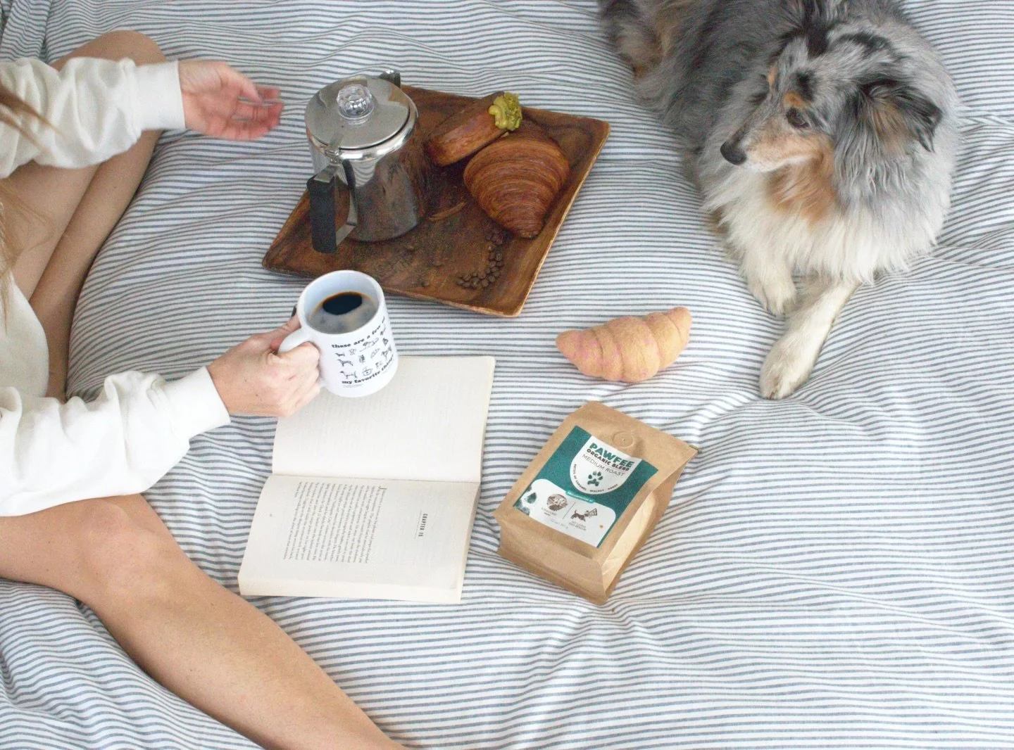 ☕️🛌🐾 This is your sign to have Pawfee in bed, with your dog while simultaneously helping save another dog&rsquo;s life. ☕️🛌🐾 

Our Pawfee Coffee Daylight Savings Sale is extended through tomorrow only. 

☕️ 20% off Pawffee Coffee Bags 
🥐 10% off