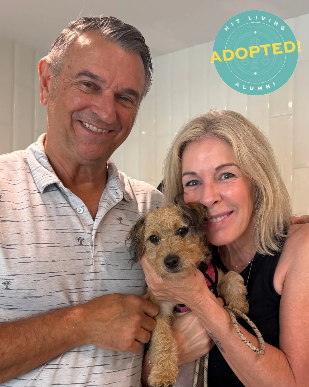 These doggos are ADOPTED! 🎉

They&rsquo;ve already started living their best lives with their forever families they&rsquo;ve been waiting for!

Thank you to everyone who was a part of their journey! From the fosters who opened their homes, to the vo