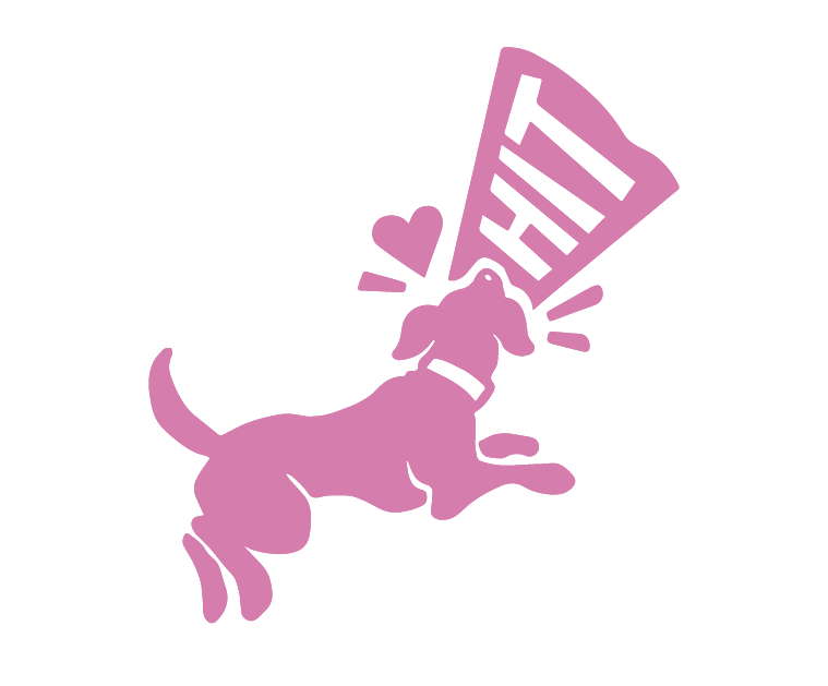 the HIT Living Foundation