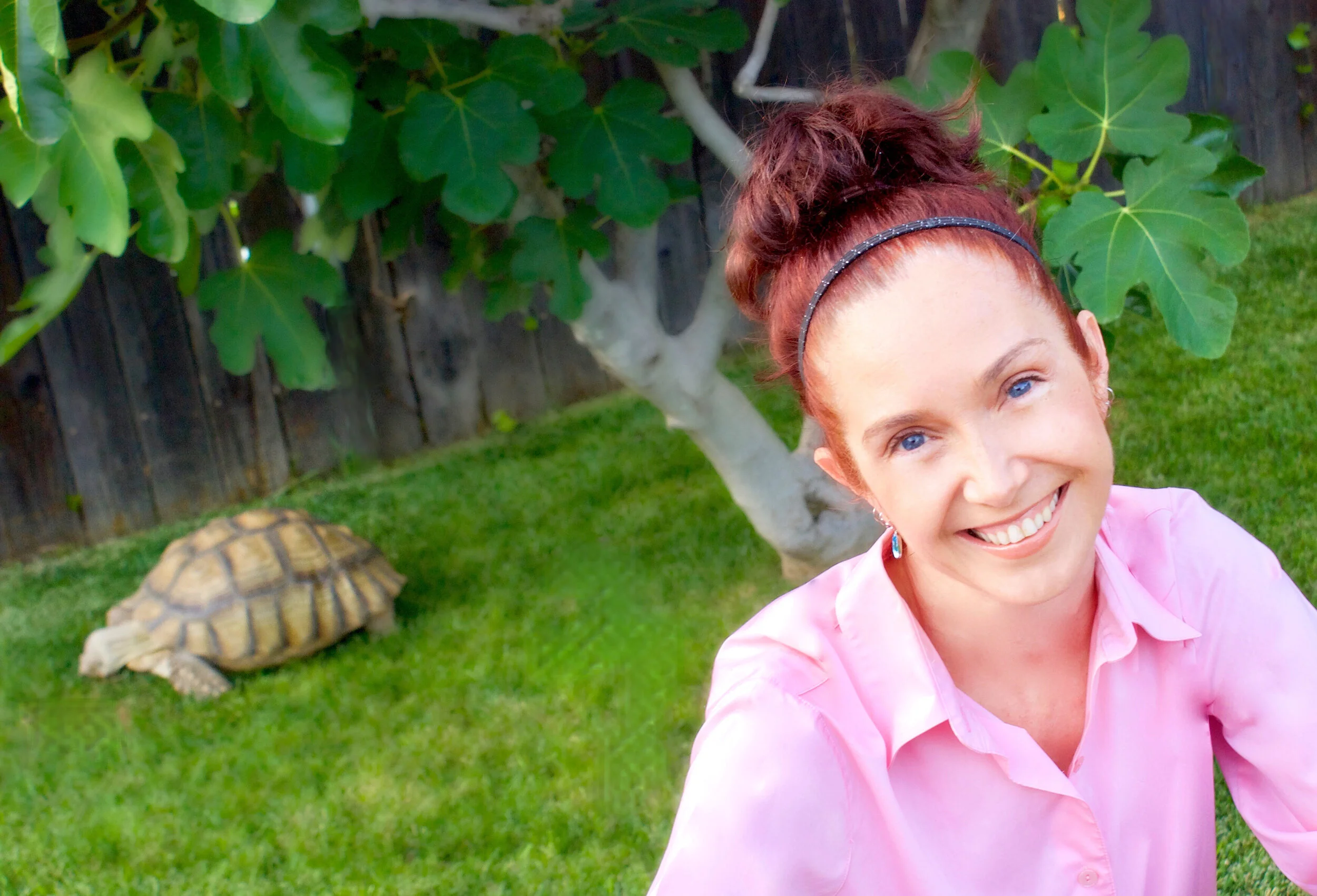 Dr. Audra MacCorkle Holistic Veterinarian