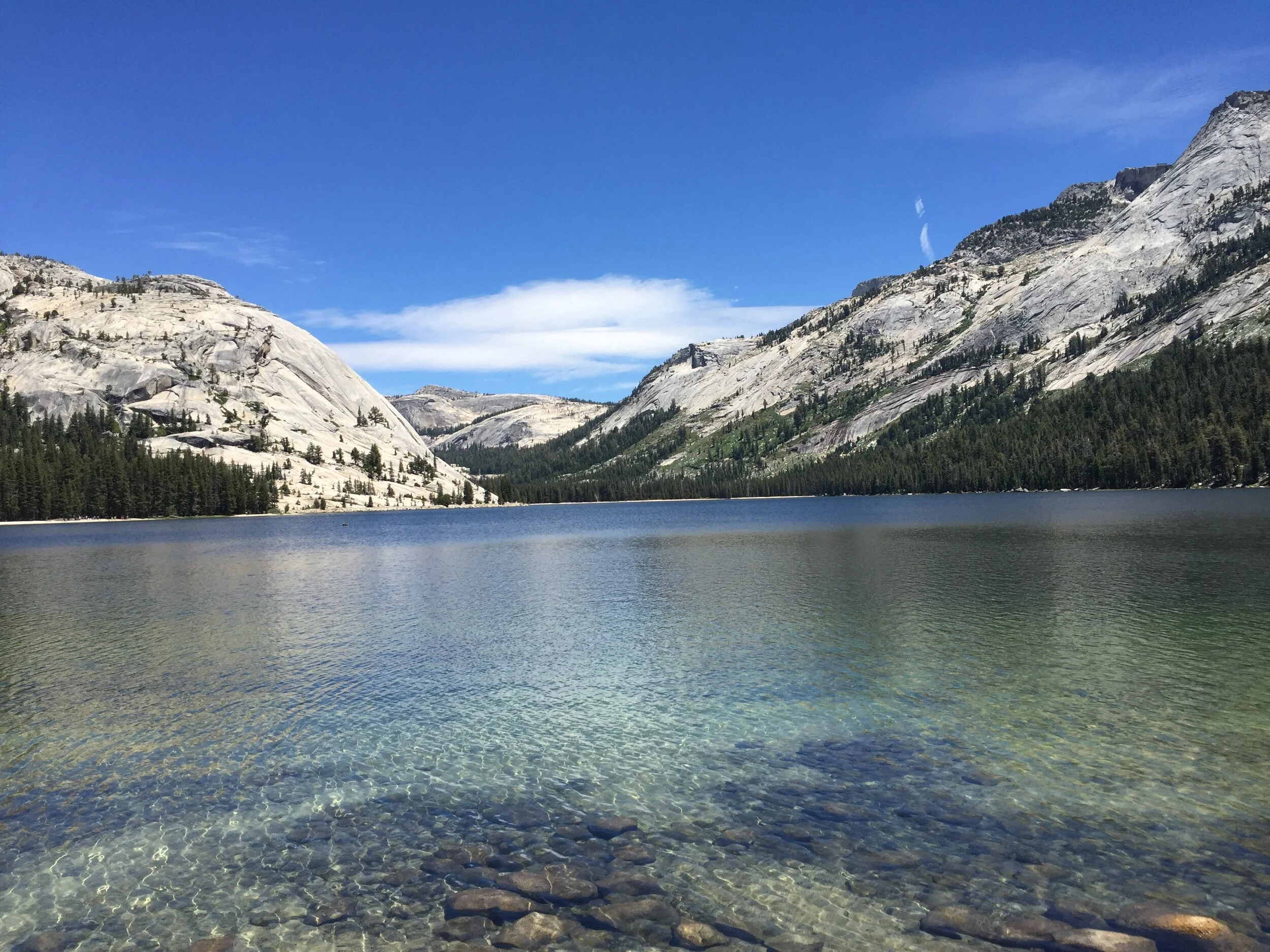 Yosemite National Park