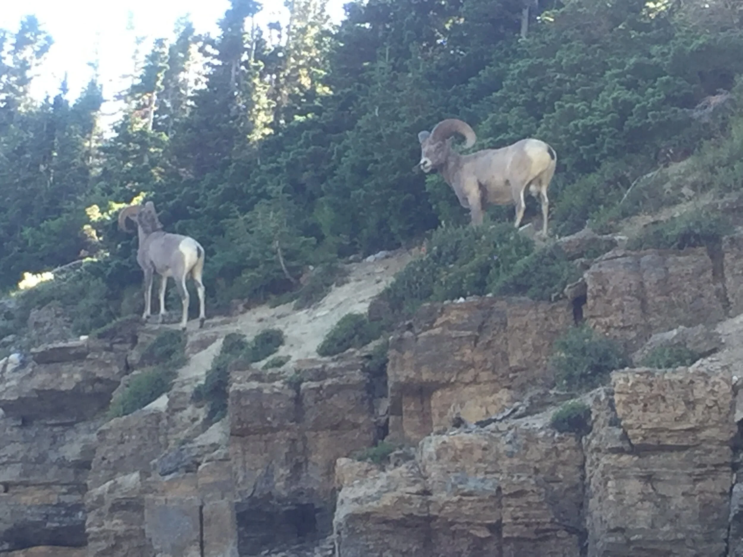 Glacier National Park, Montana
