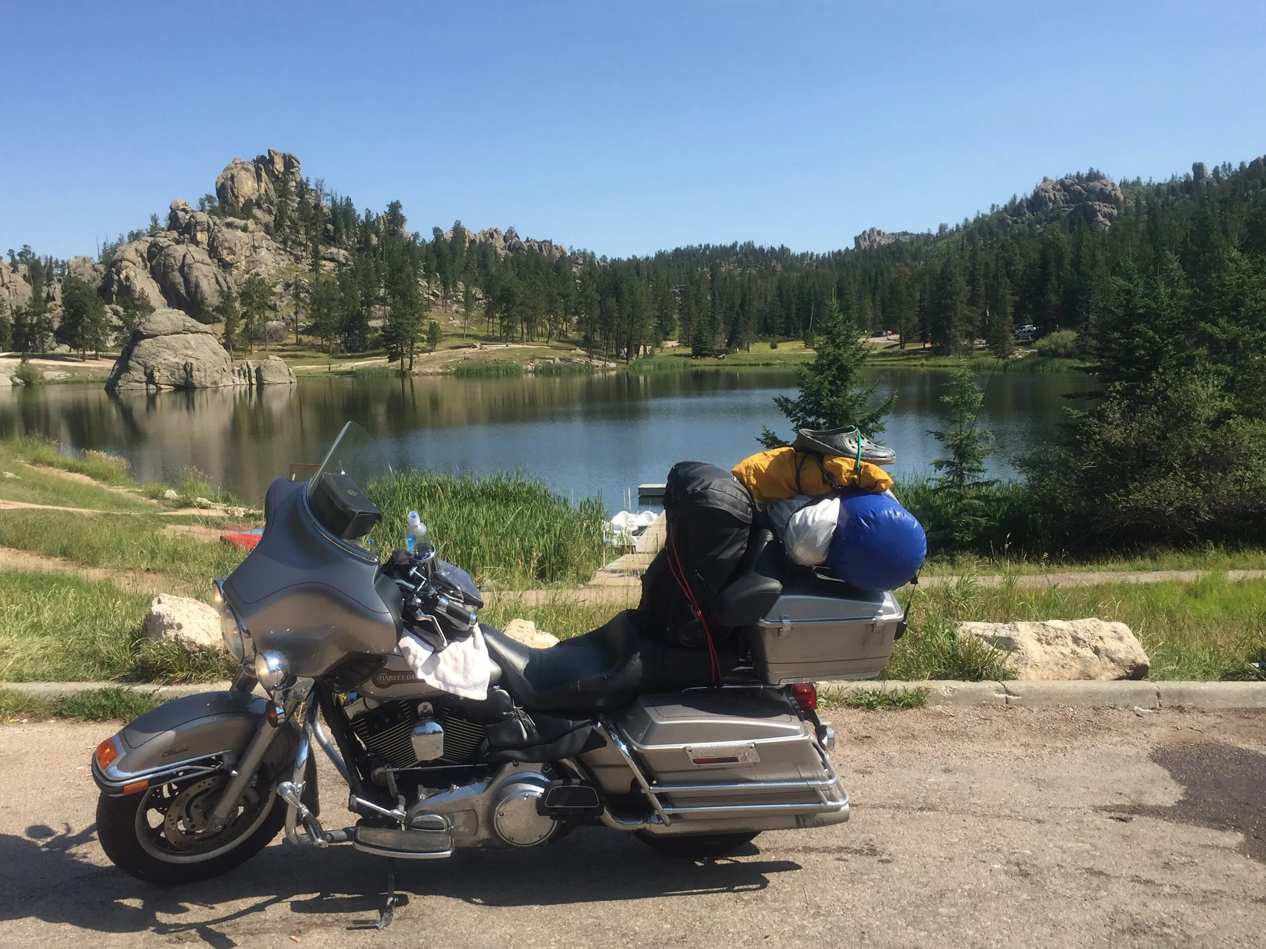 Custer State Park, South Dakota