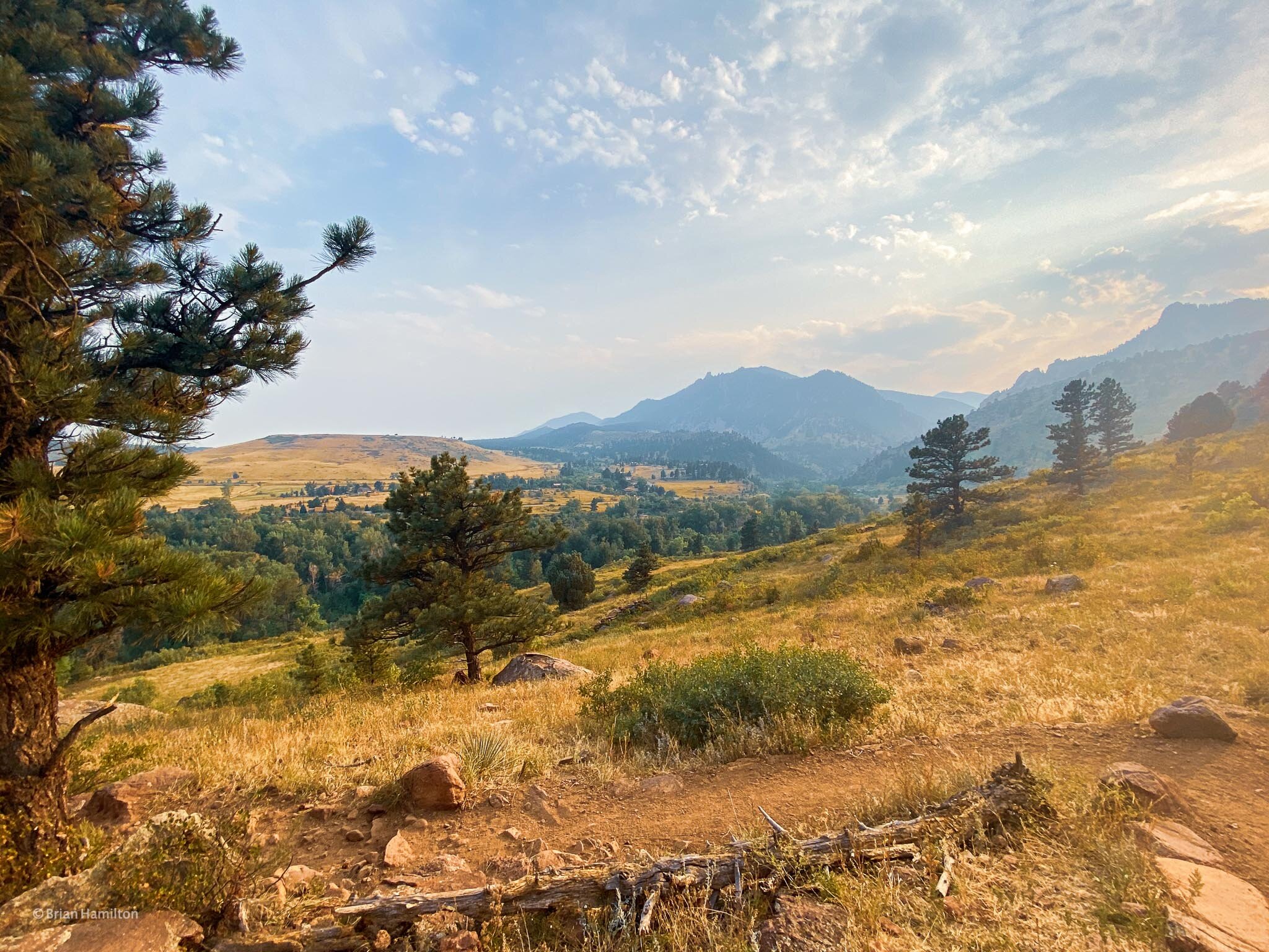 Homestead and Mesa Trail Loop - Homestead and Mesa Trail Loop is a moderate 3.3 mile heavily trafficked loop trail located near Eldorado Springs, Colorado that features beautiful wild flowers. This is one of my favorite trail running routes!