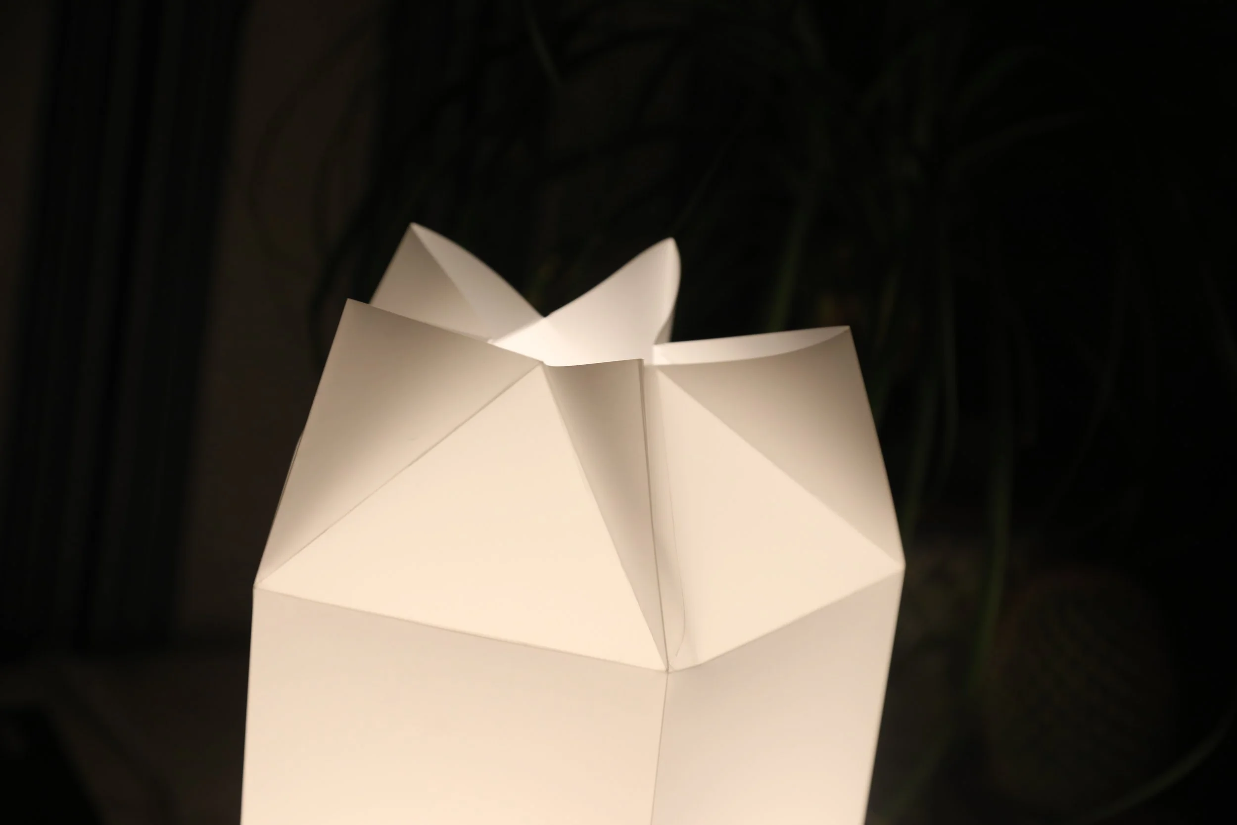 Winter 2025 - 2.5 Weeks