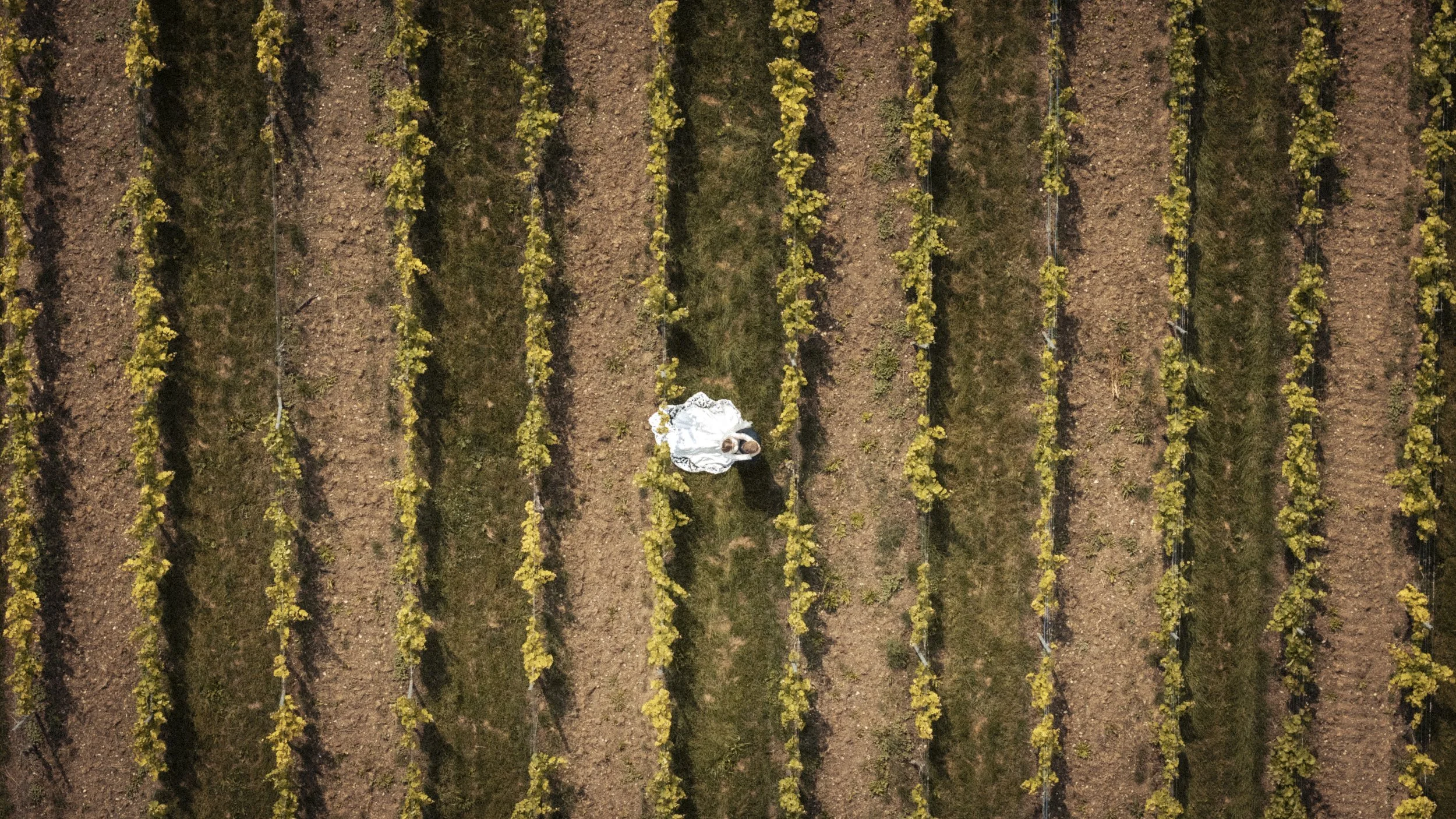 AK Photogenix_Sarah & Leonardo 339.jpg