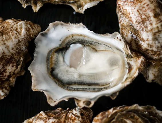 Screen Shot 2020-07-10 at 10.14.28 PM.png