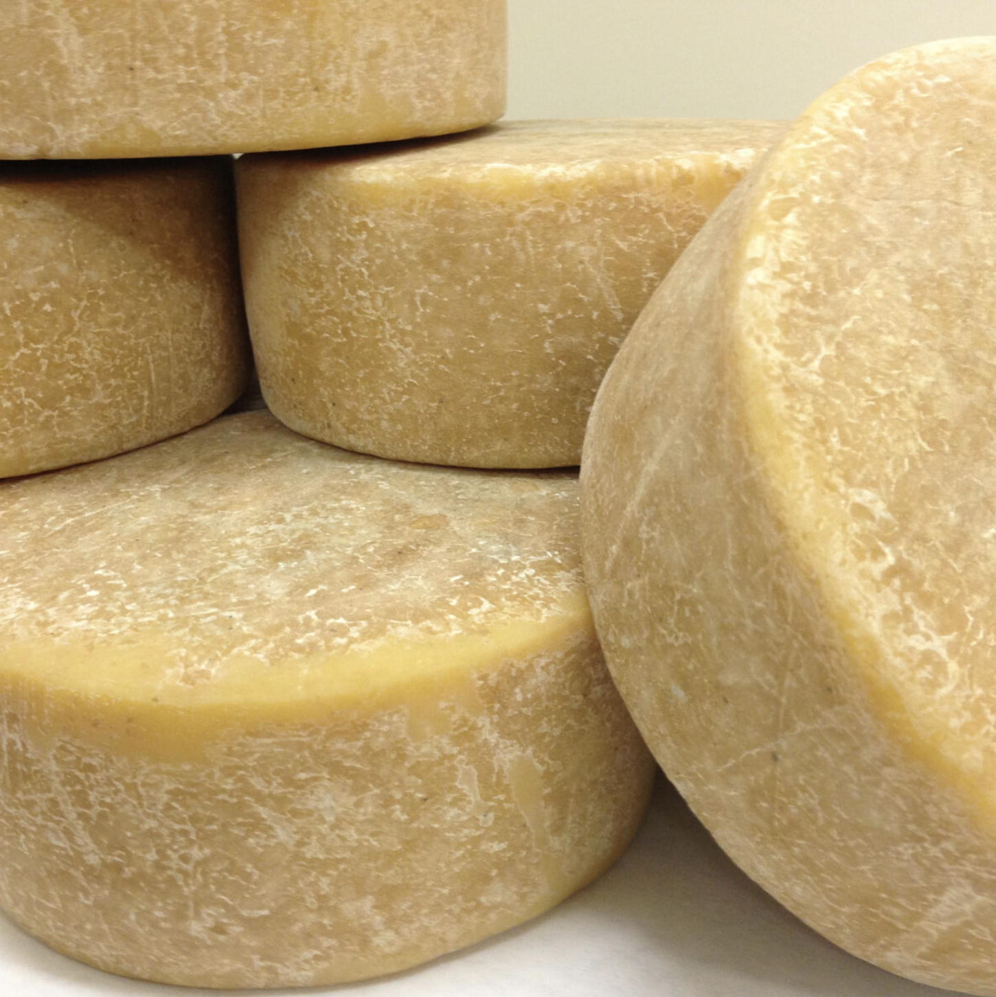 Glendale Shepherd's Island Brebis