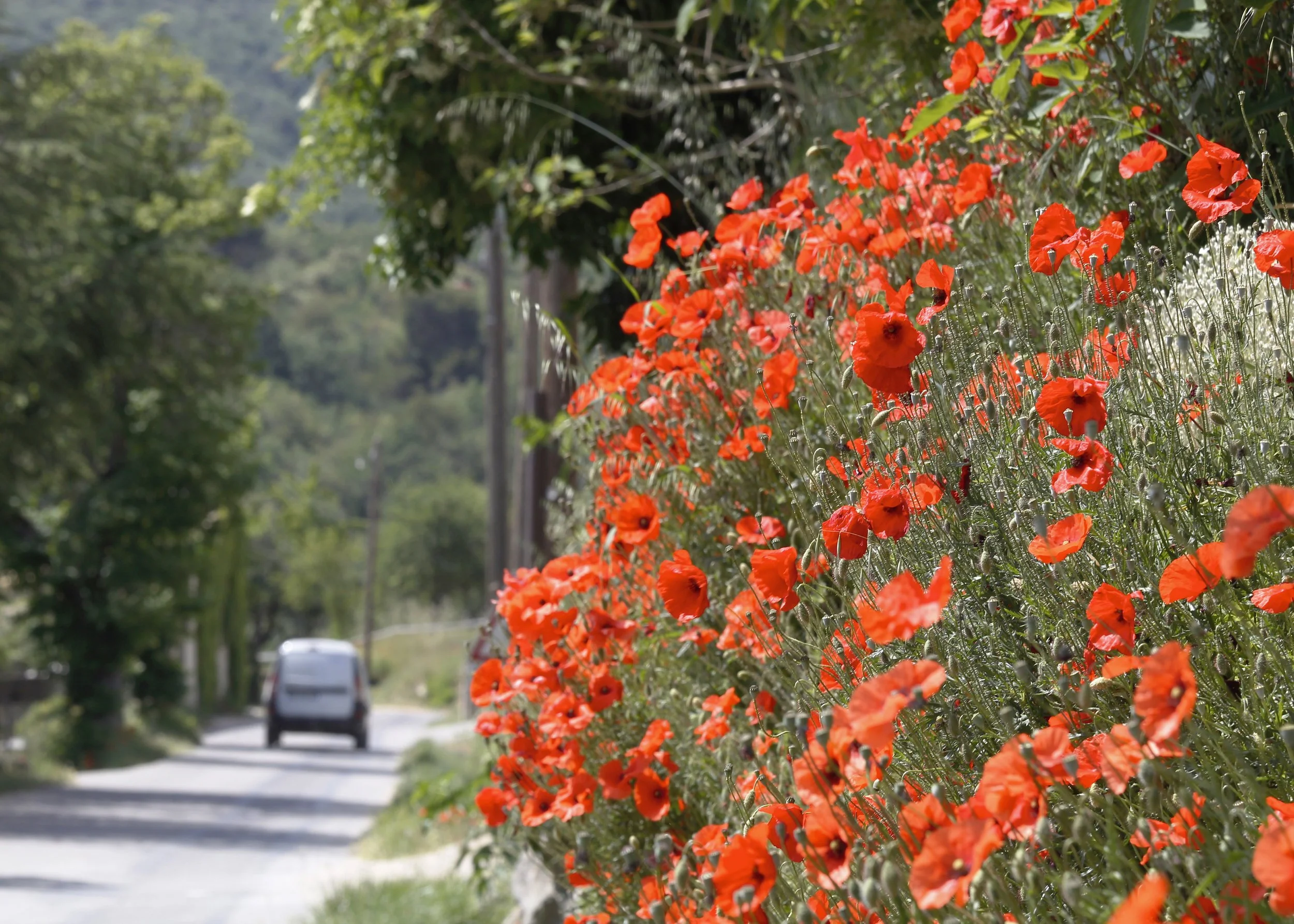 Sur la route