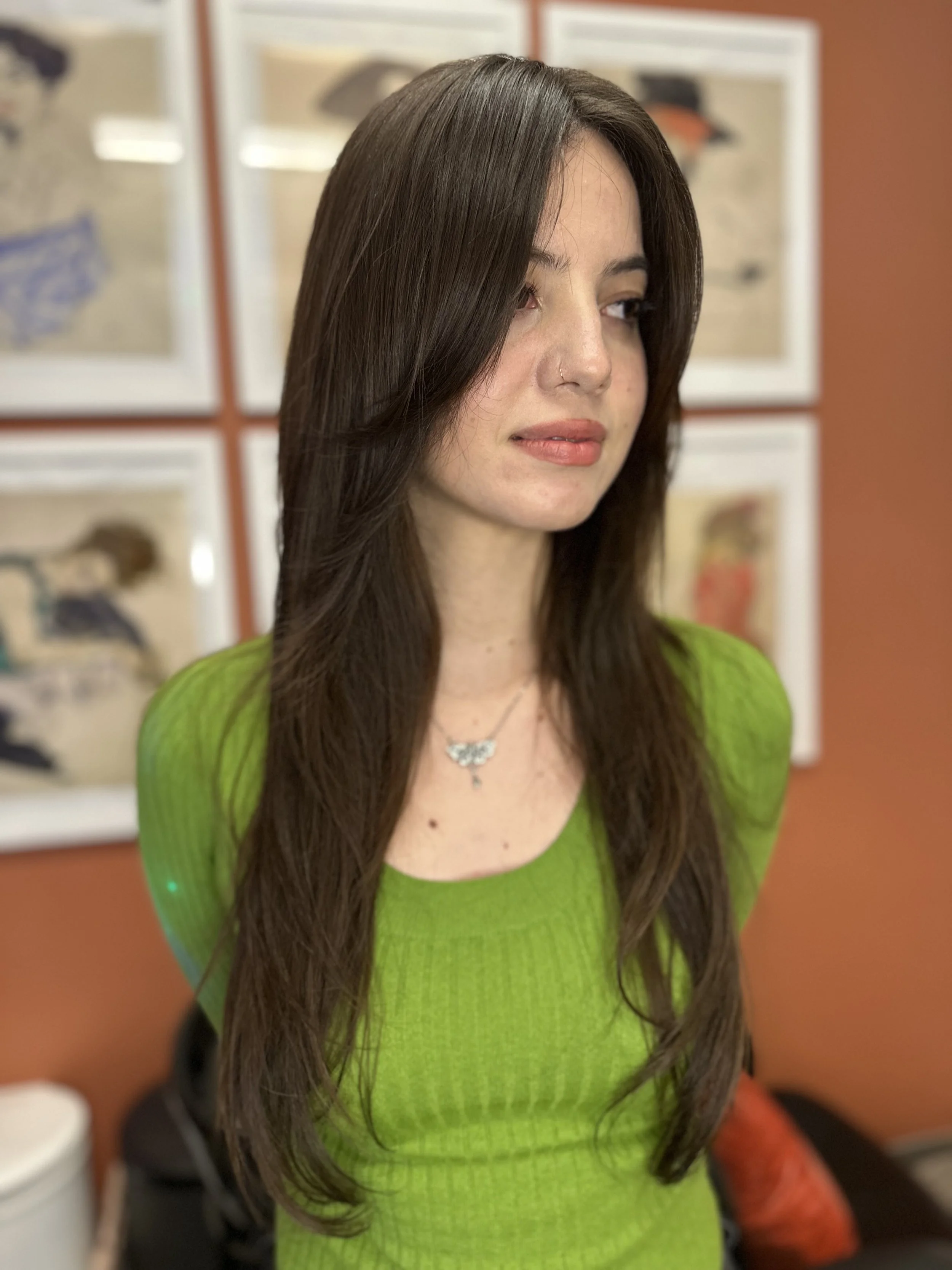 Layered, shaggy cut on thick straight brunette hair