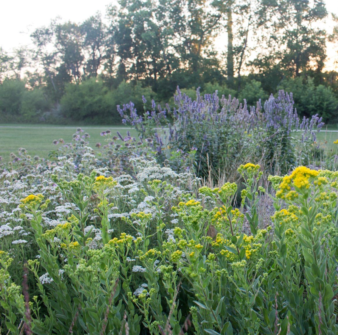 Wellington Prairie Garden
