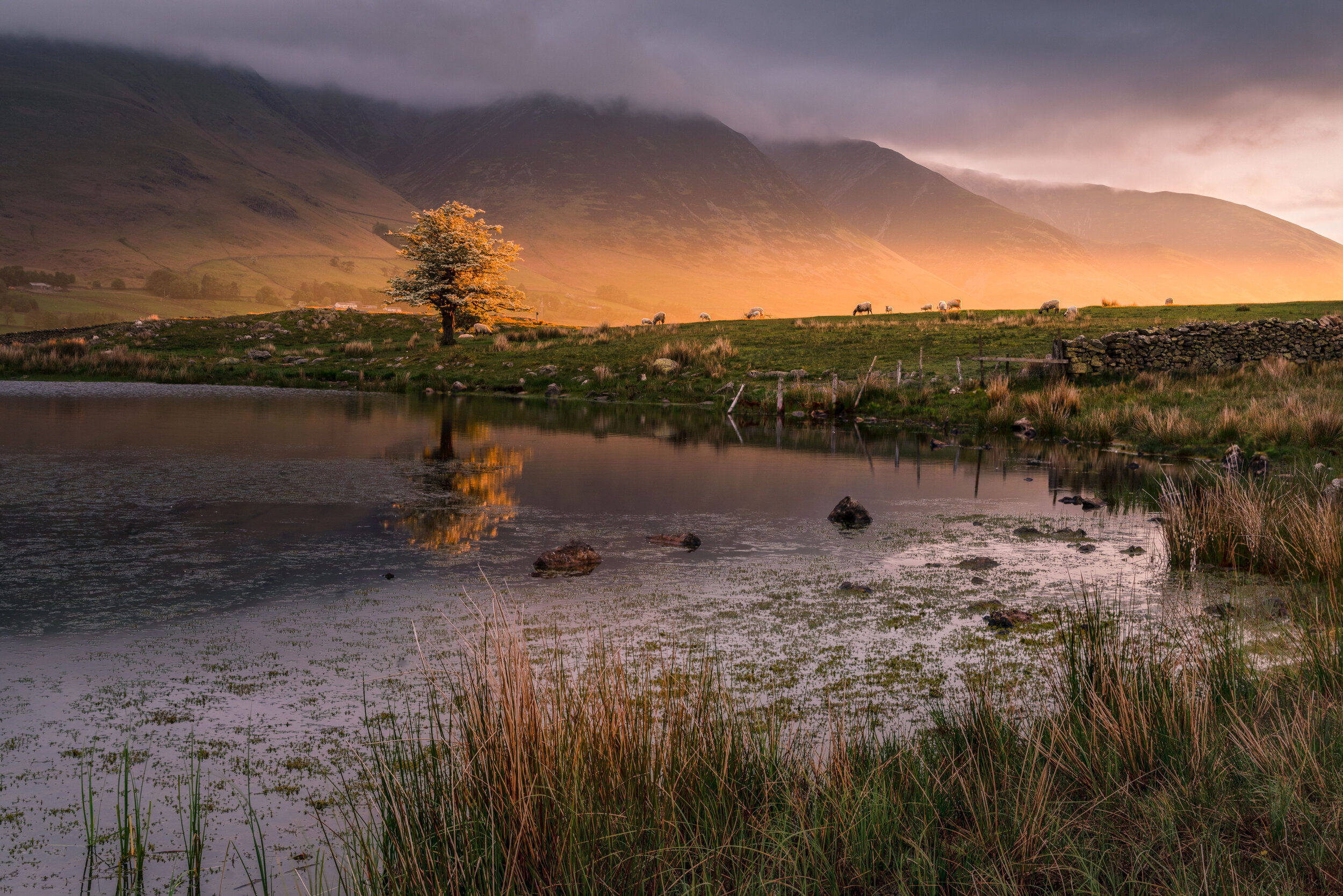 The Lake District — ilovefridaysme Landscape Photography