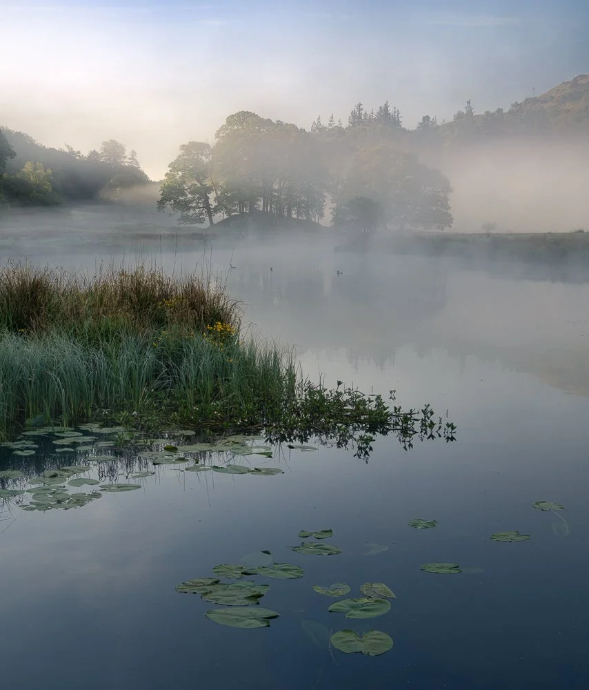 Misty Brathay