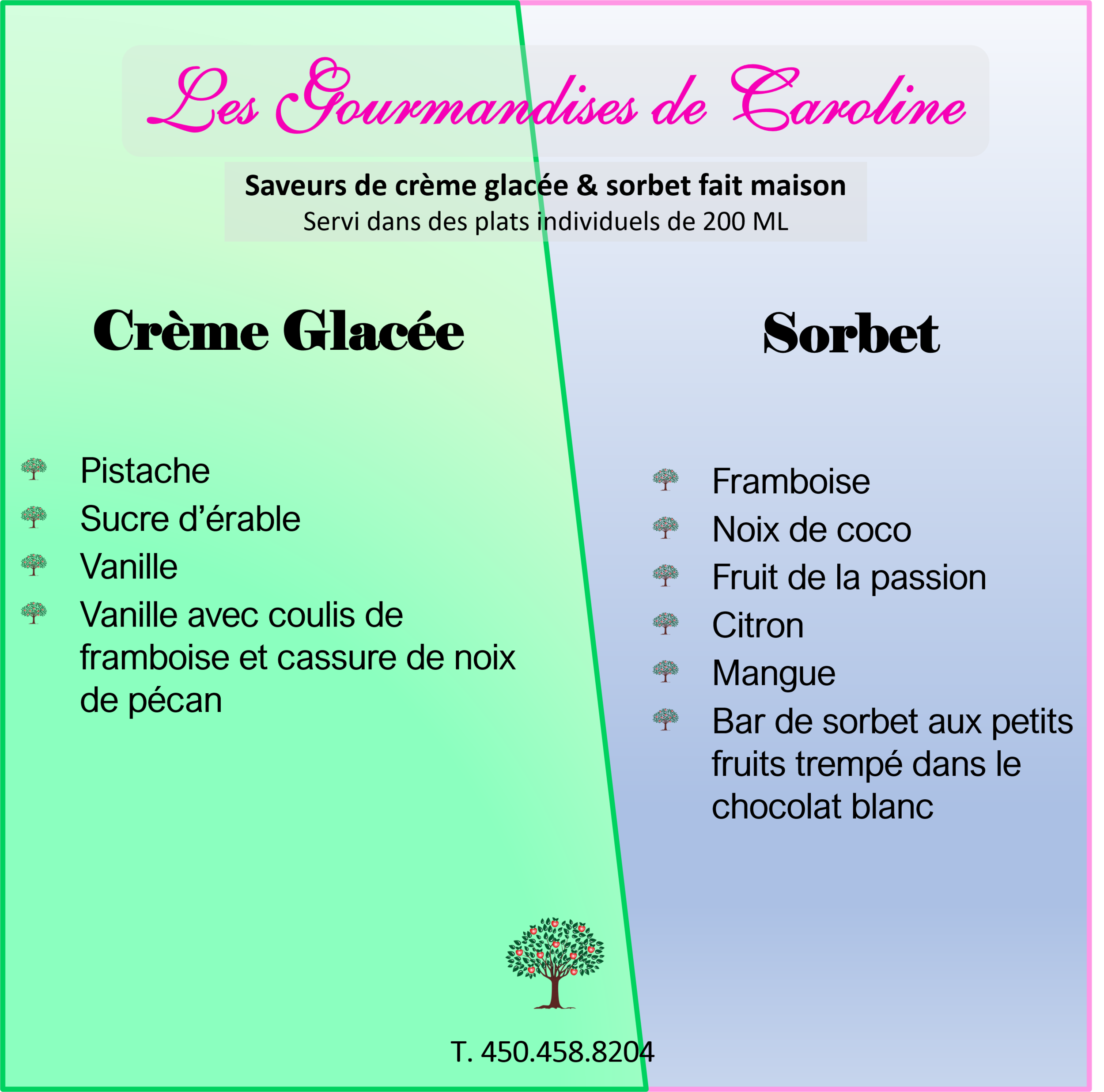 Ice cream Sorbet flavors 1 FR.png