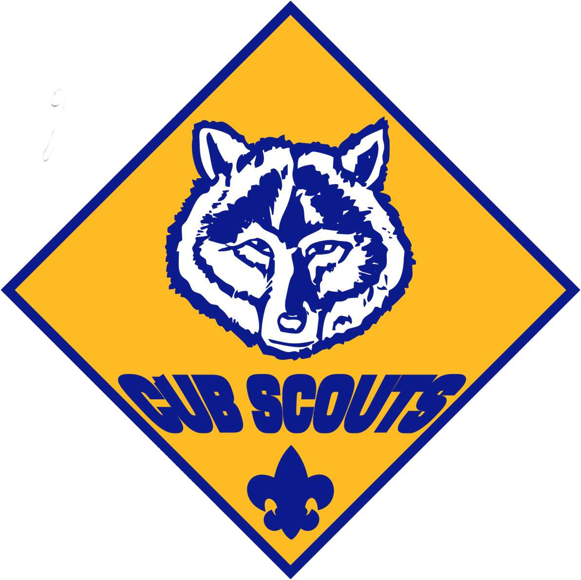Cub Scout Pack 760, Lakeland, FL