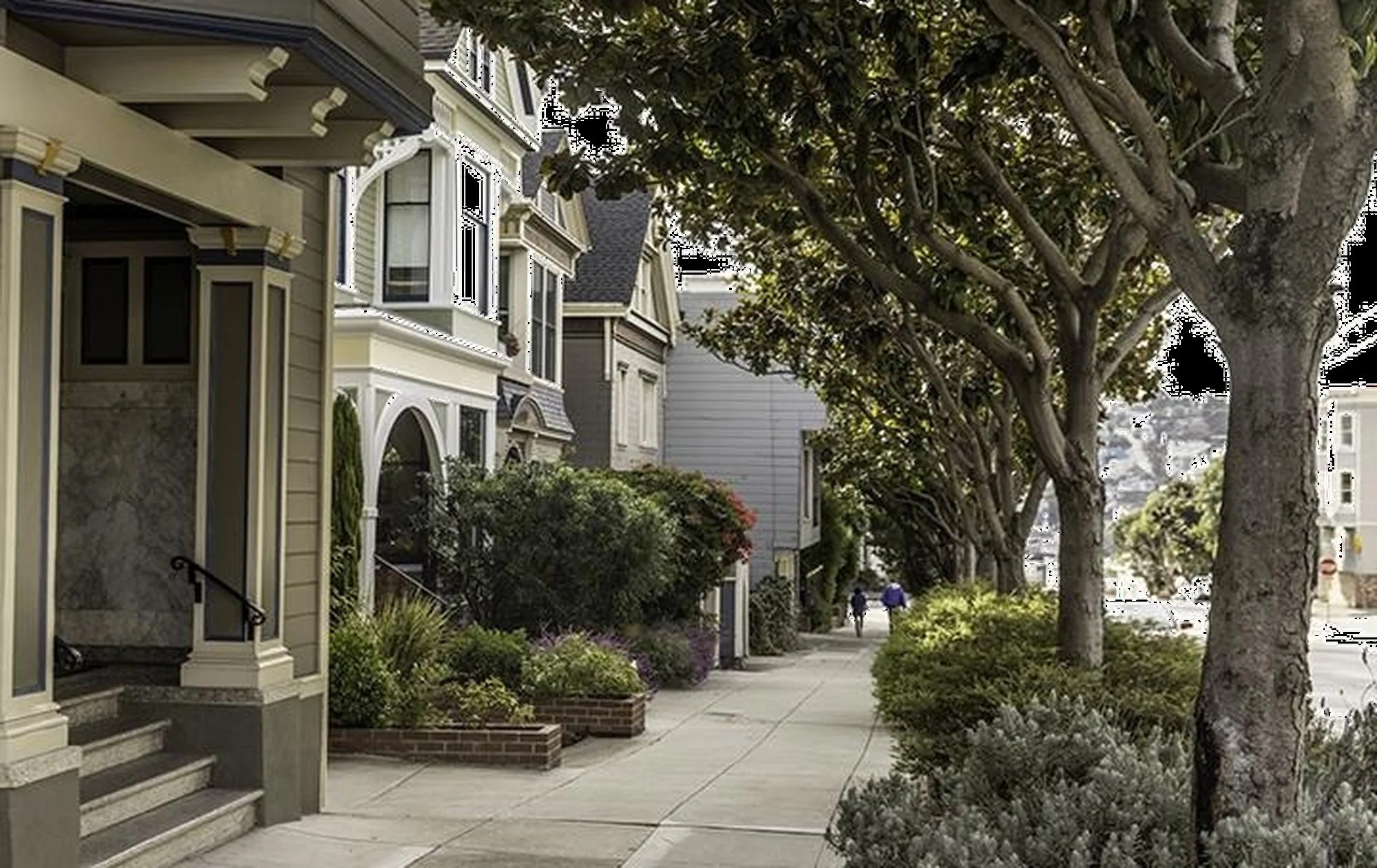 Eureka Valley Luxury Homes Lifestyle and Real Estate Overview