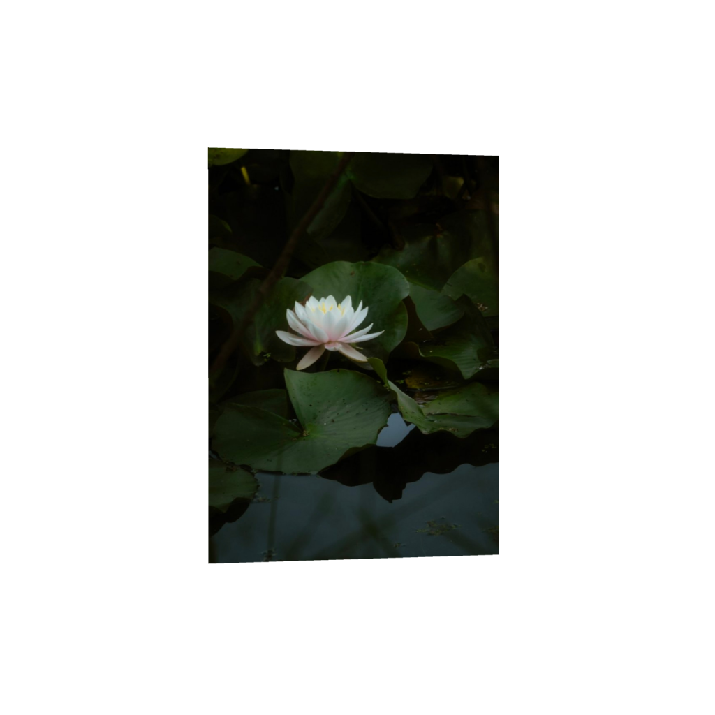ptq_1_7_77_0_1287_1802_0_false_ffffff_0_0_.png