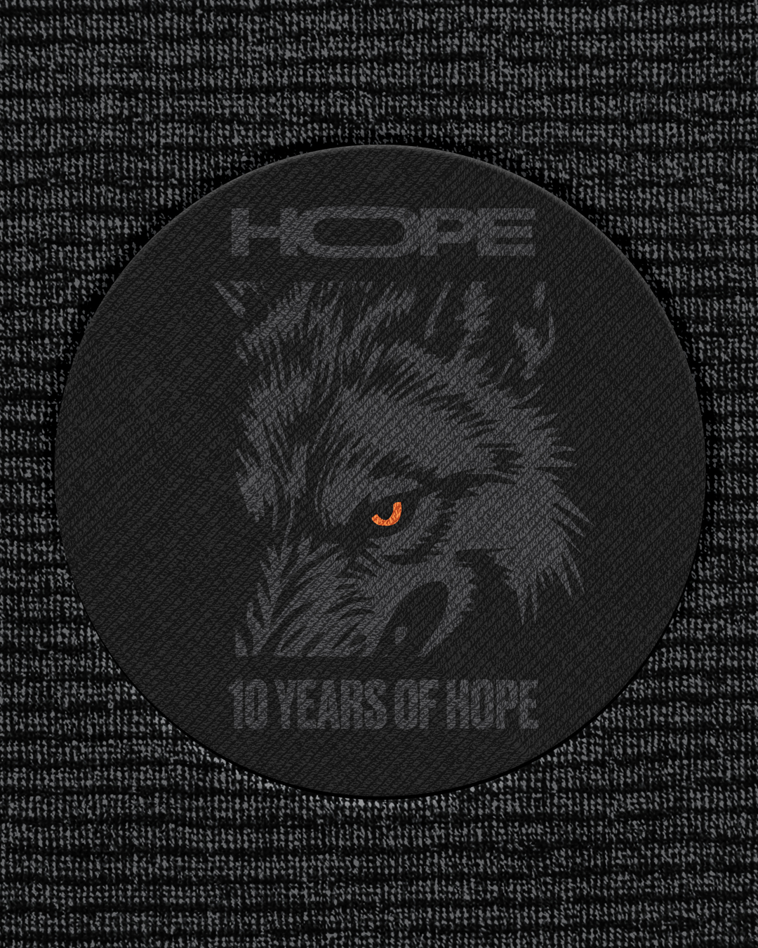 10 year Patch_.png