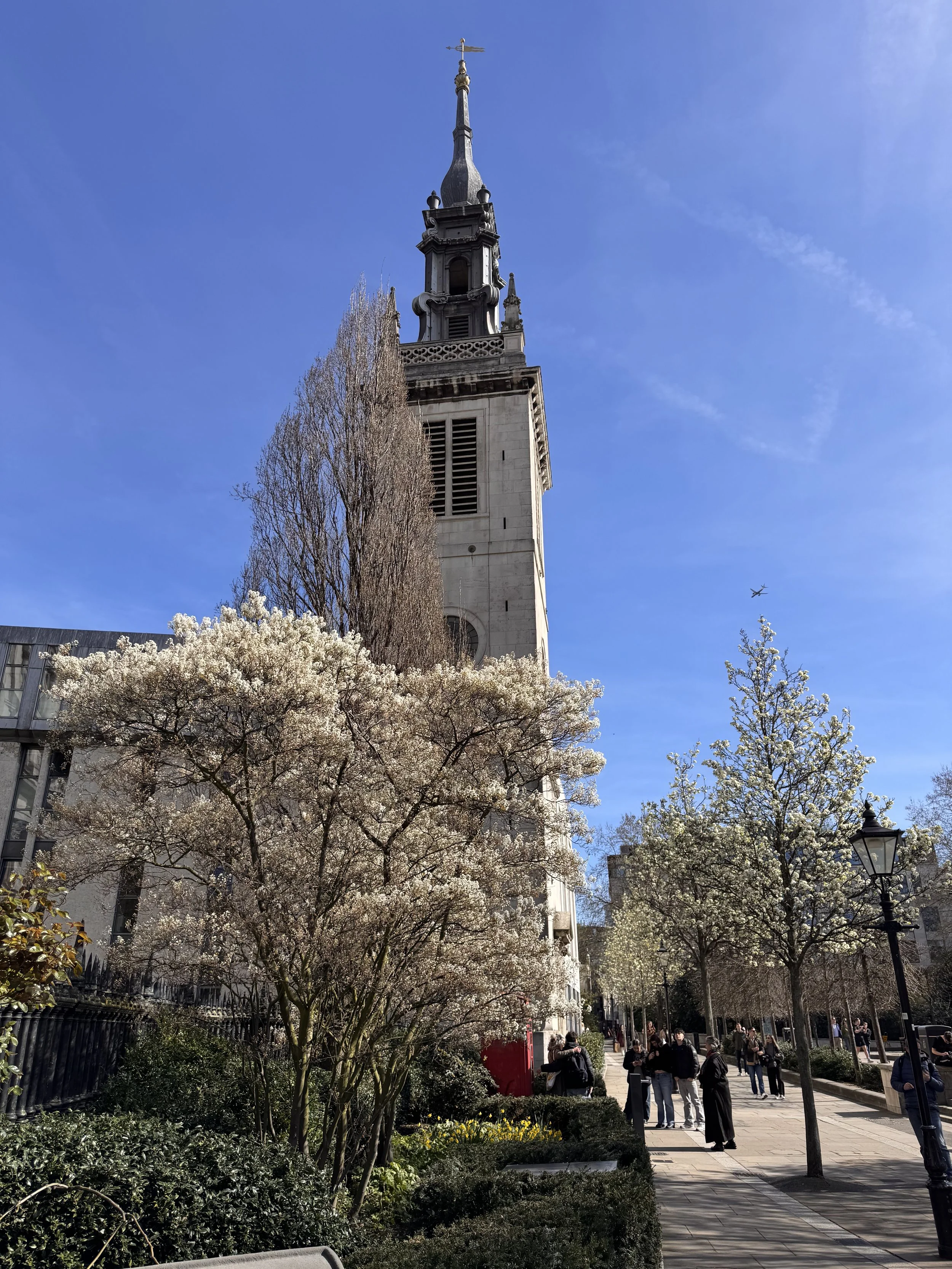 IMG_4732.jpeg