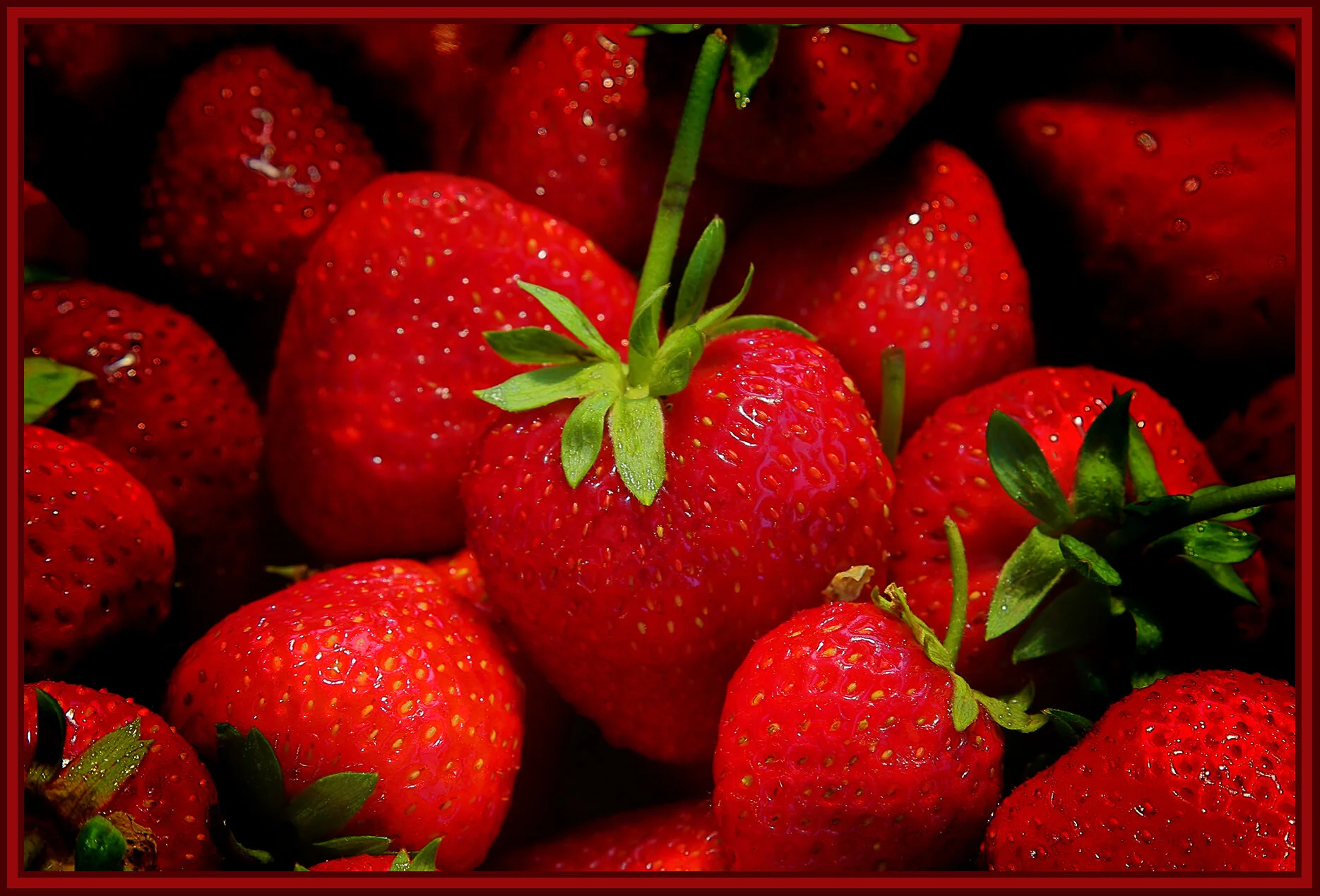 Strawberries_Aug 5_2018_HDR_A6719_peDecRsdinVig_4x6s.jpg