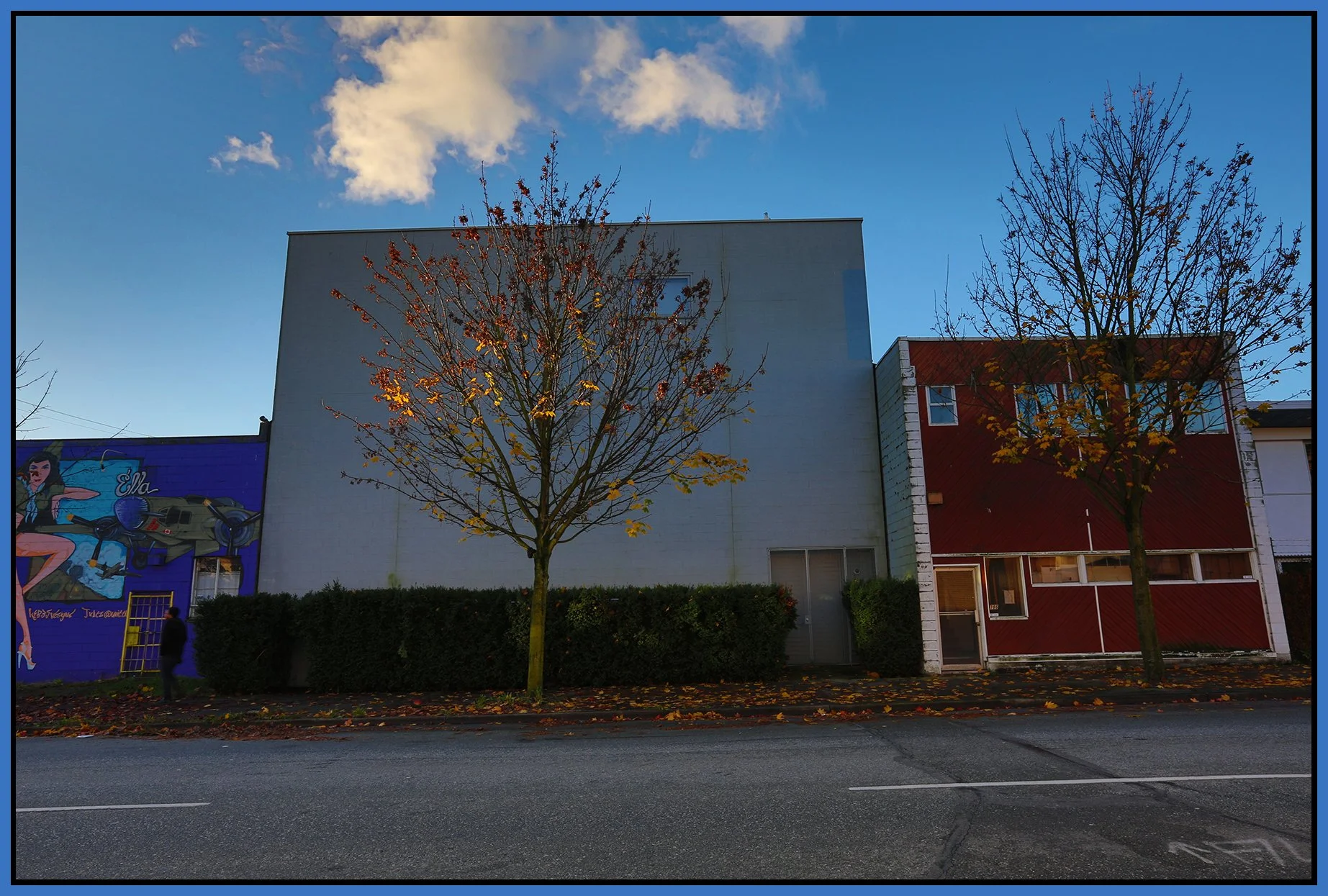 790 Powell St Tree_Nov 11_2015_HDR_H0822_4x6s.jpg