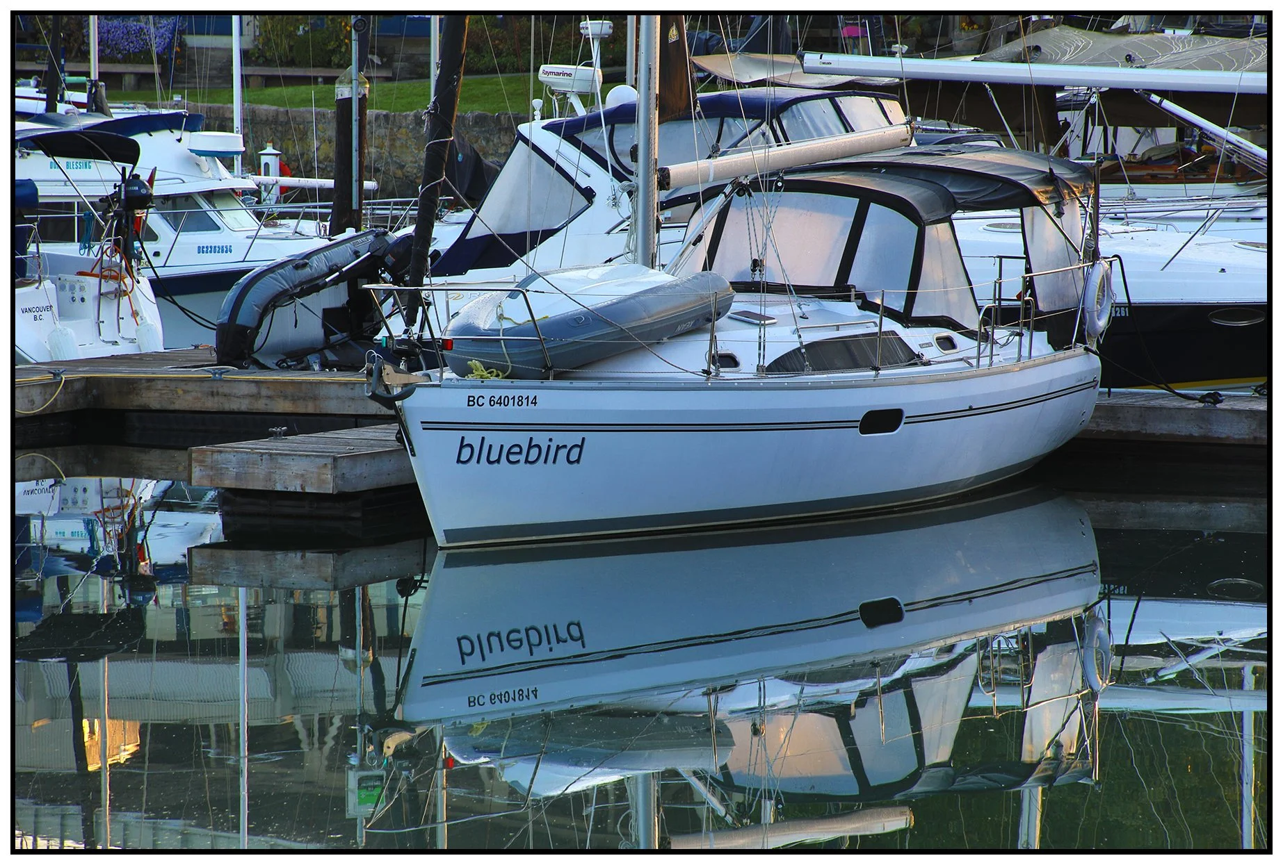 False Creek Boats bluebird_Oct 14_2022_HDR_4H3782_4x6s.jpg