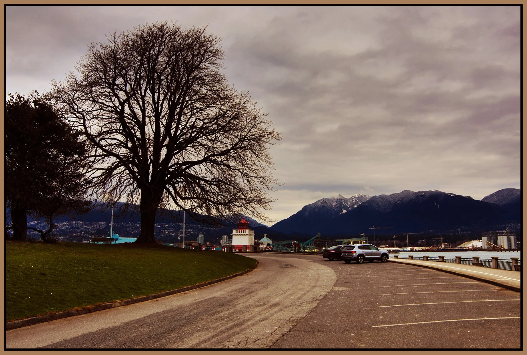 Stanley Park Lighthouse Tree LkgNW_Feb 20_2026_HDR_5F6127_peEnhanceSunsets_4x6s.jpg