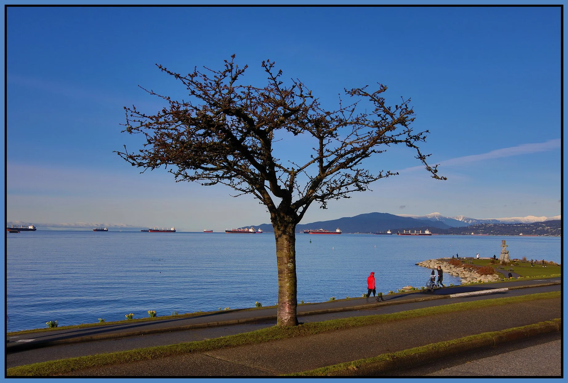 English Bay Tree_Feb 3_2021_HDR_4G3540_4x6s.jpg
