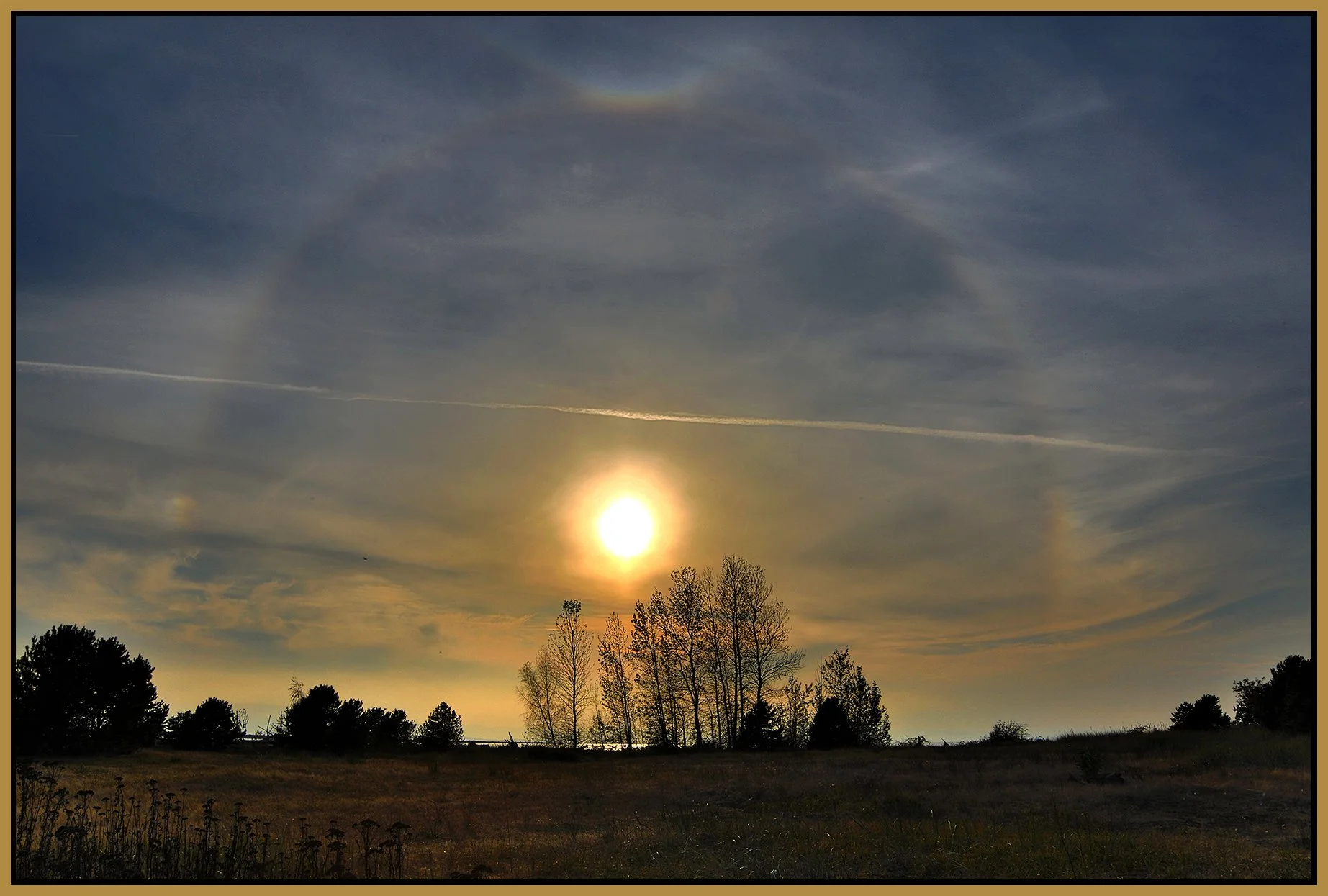 Iona Pk Trees_Oct 6_2022_HDR_4H3040_peSGC_4x6s.jpg